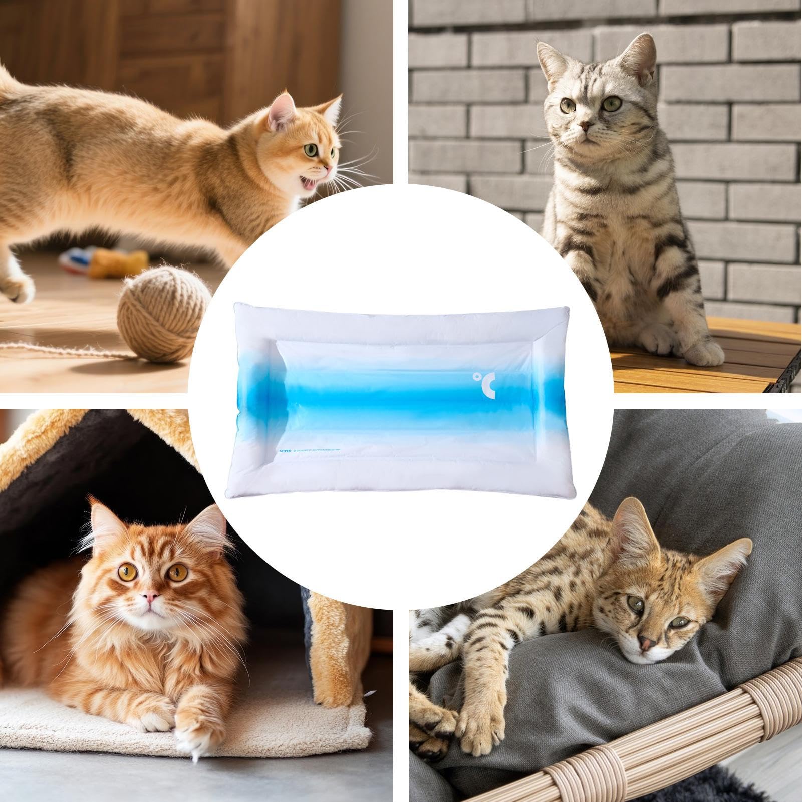 Almohadilla De Gel Refrescante Suave Para Perros Manta De Gel Refrescante | Colchoneta Transpirable Para Mascotas Cama Caseta En Exterior E Interior Playa Césped Viajes En