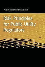 Risk Principles for Public Utility Regulators (Public Utility Regulation)