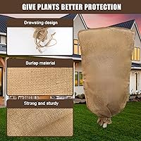 Vista 3 de 1 pieza cubierta de arpillera para plantas de invierno de 45.3 x 70.9 pulgadas, bolsas grandes de arpillera con cordón, cubiertas reutilizables