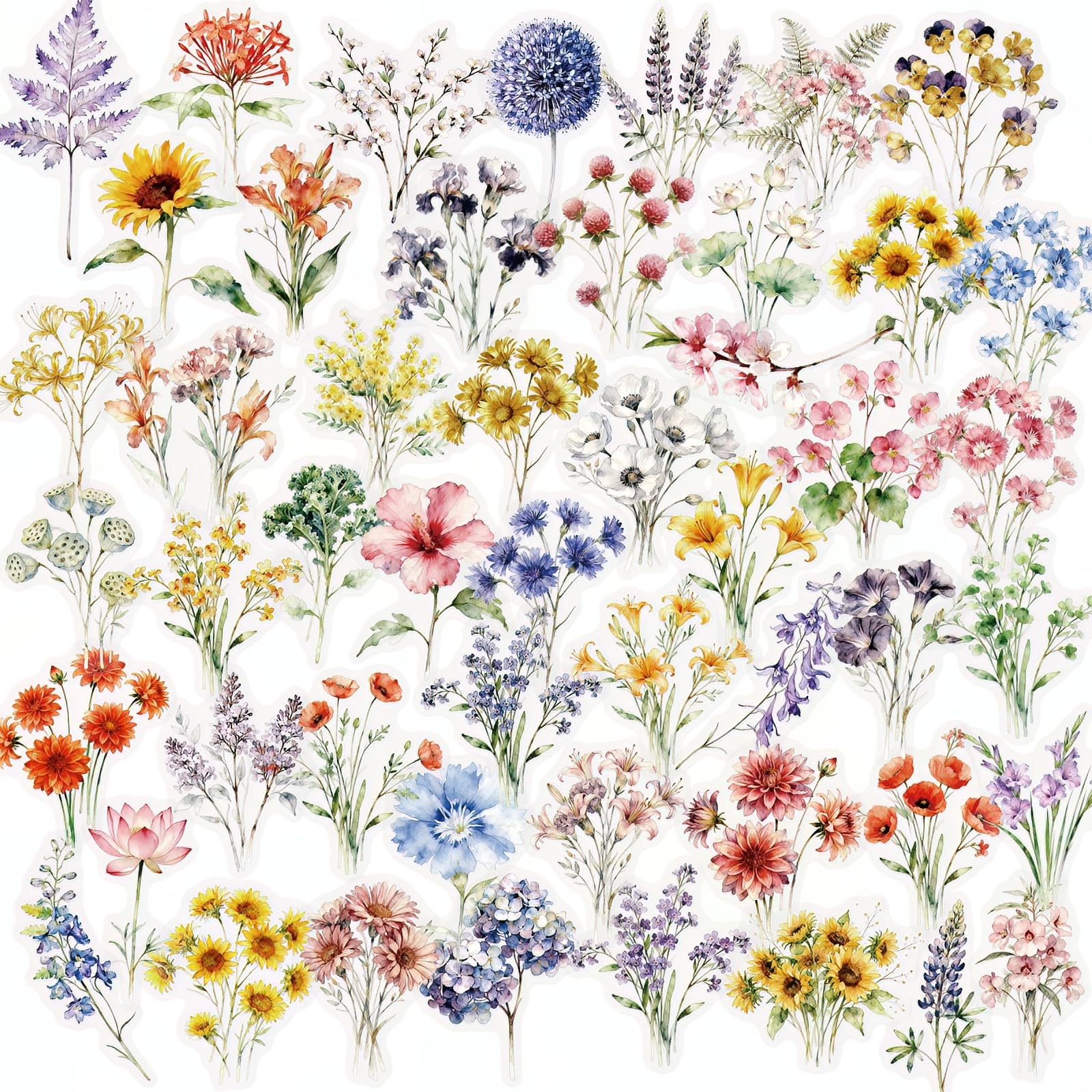 Lot de 50 autocollants fleurs sauvages en vinyle mignon pour adolescents et adultes