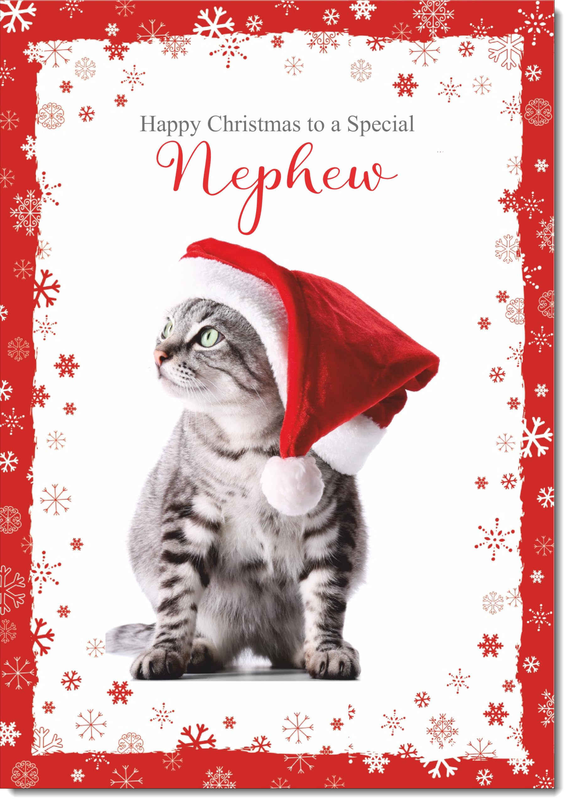doodlecards Nephew Christmas Card Kitten in a Santa Hat Large A4 Size Christmas Card for Nephew with Plain Envelope — image 1