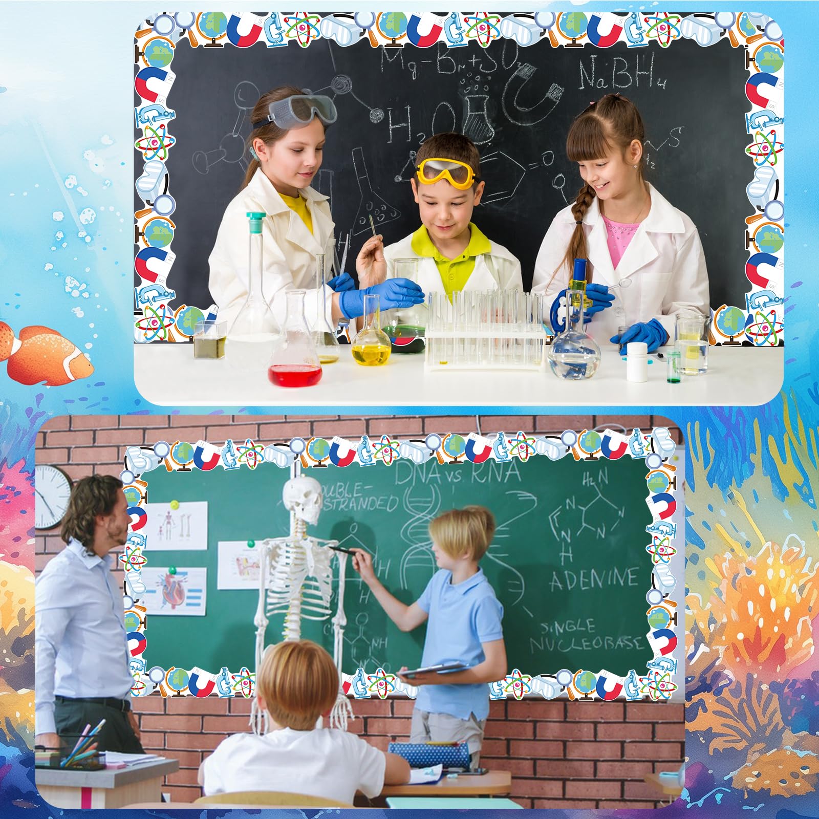 Science Fair Board 72 Feet Science Bulletin Board Borders Science Lab ...