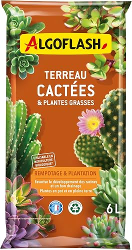Terreau Cactées et Succulentes ALGOFLASH