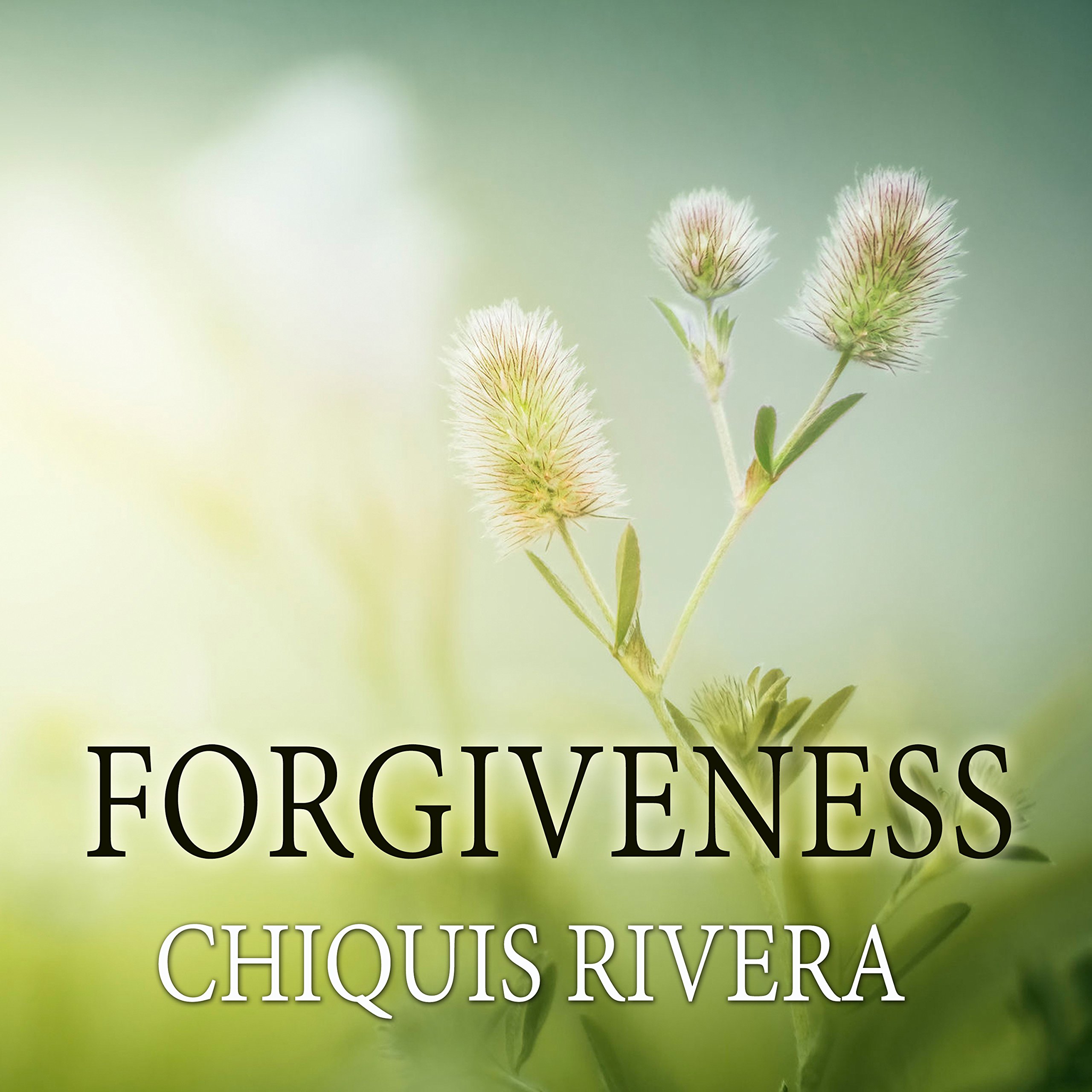 Cover art for Forgiveness