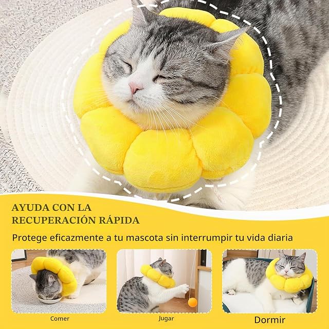 Foto 5 de 7 de Ferizzia Collar Isabelino Gato, Ajustable Collar de Recuperación para Gato