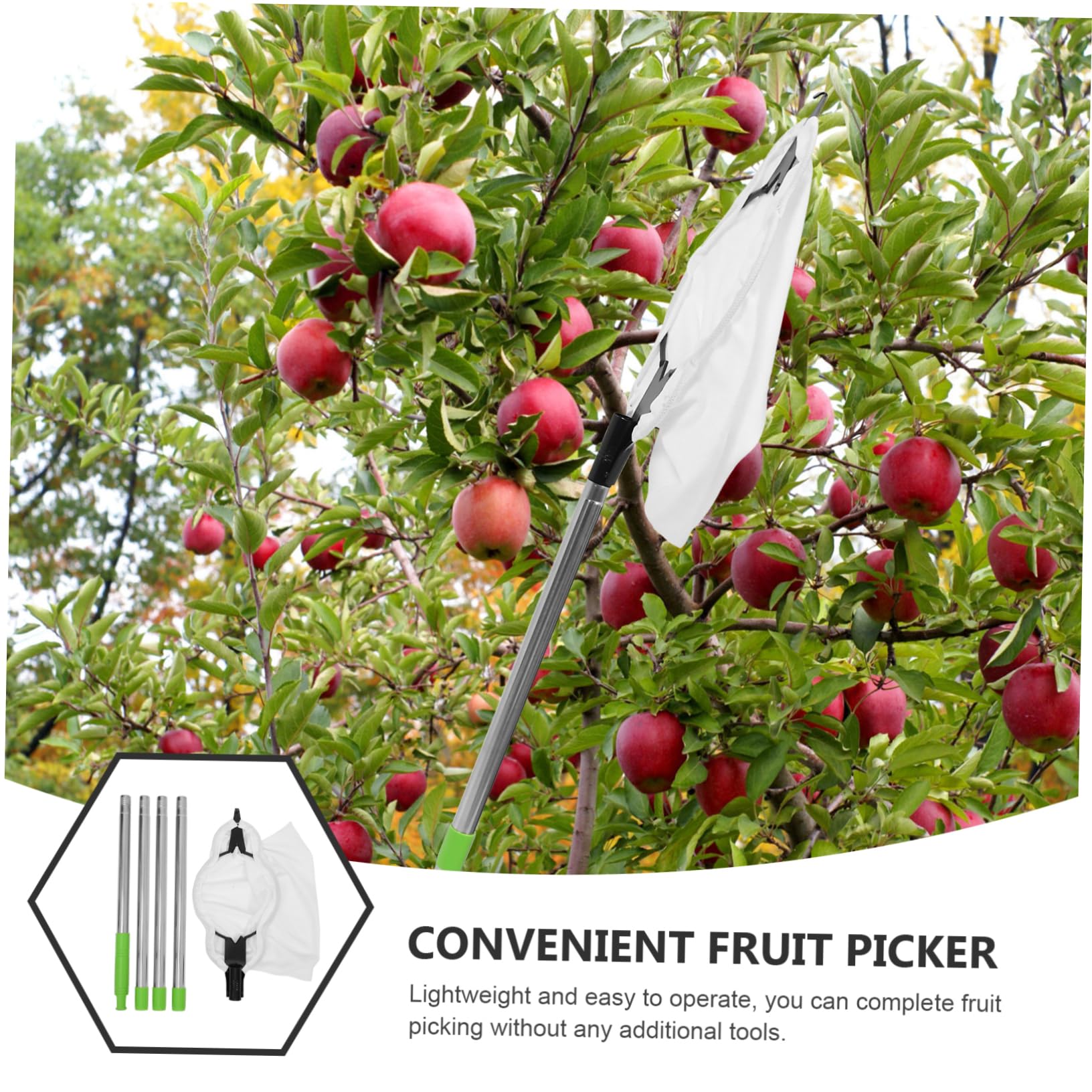 1juego De Jardín Varilla Ajustable para Recolección De Frutas Recolector De Frutas Cesta Acolchada y Cabeza De para Manzanas y Duraznos Árboles