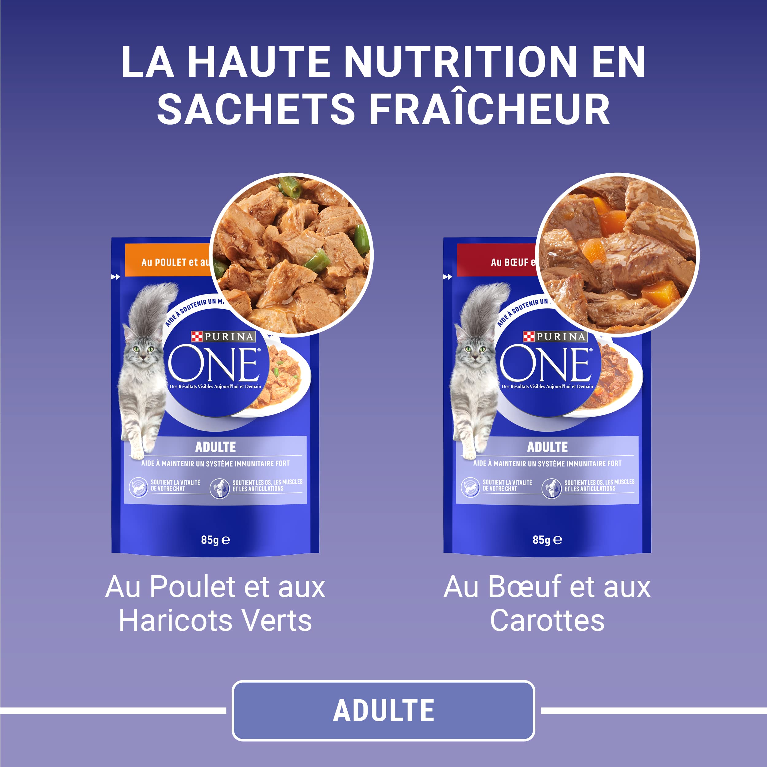 PURINA ONE | BIFENSIS | Chat Adulte | Soutien la vitalité du Chat, Les os, Les Muscles et Les articulations | Effilés en Sauce | Poulet, Boeuf | Sachets Fraîcheur | Lot de 12 (4 x 85g)