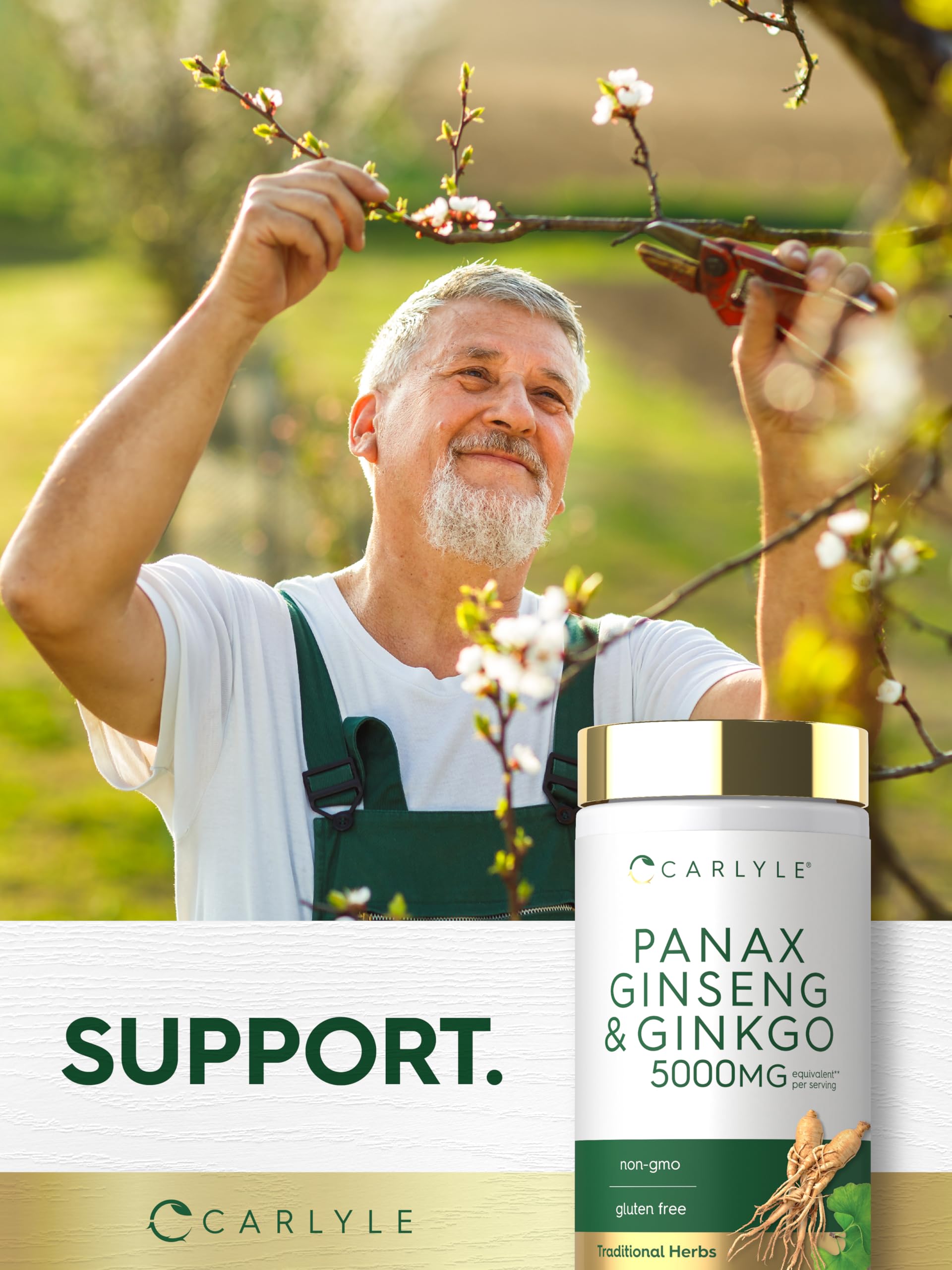 Carlyle Panax Ginseng & Ginkgo | 120 Vegetarian Capsules — Amazon image 6