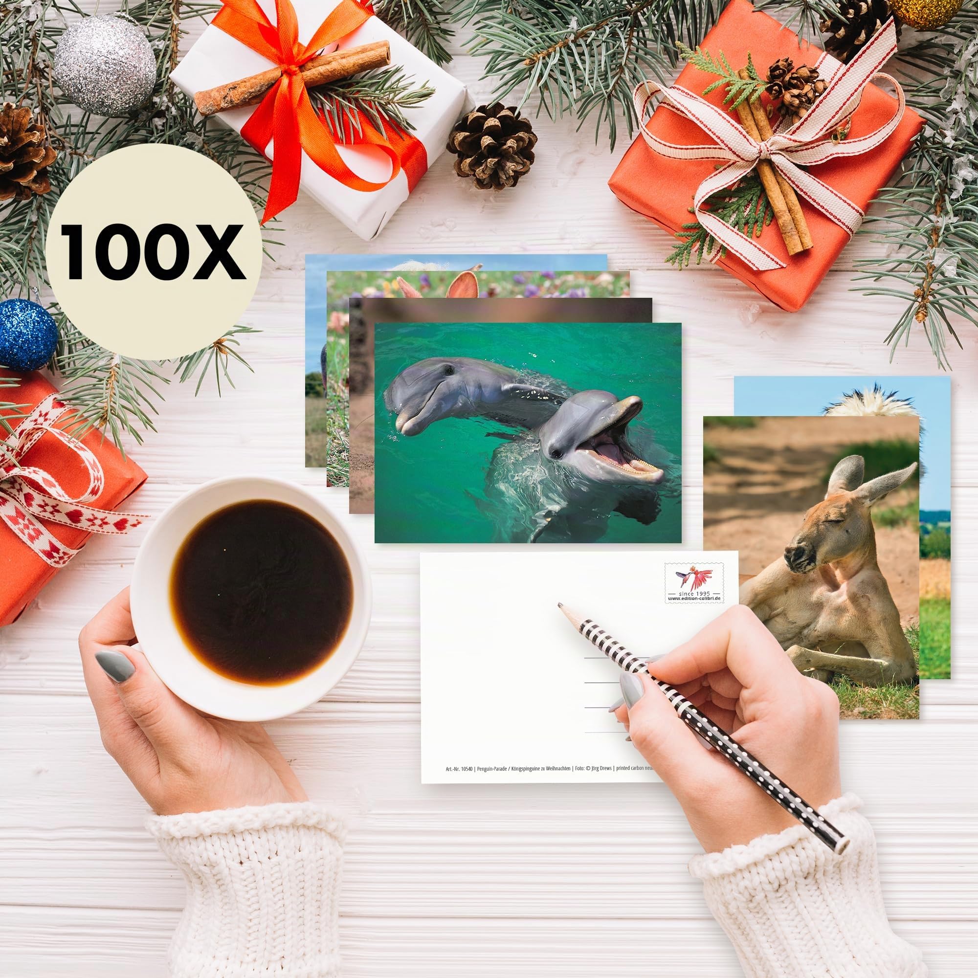Edition Colibri 100 ANIMAUX: Lot de 100 cartes postales d'animaux avec 100 motifs différents - idéal pour les collectionneurs, les écoles ou pour le postcrossing de