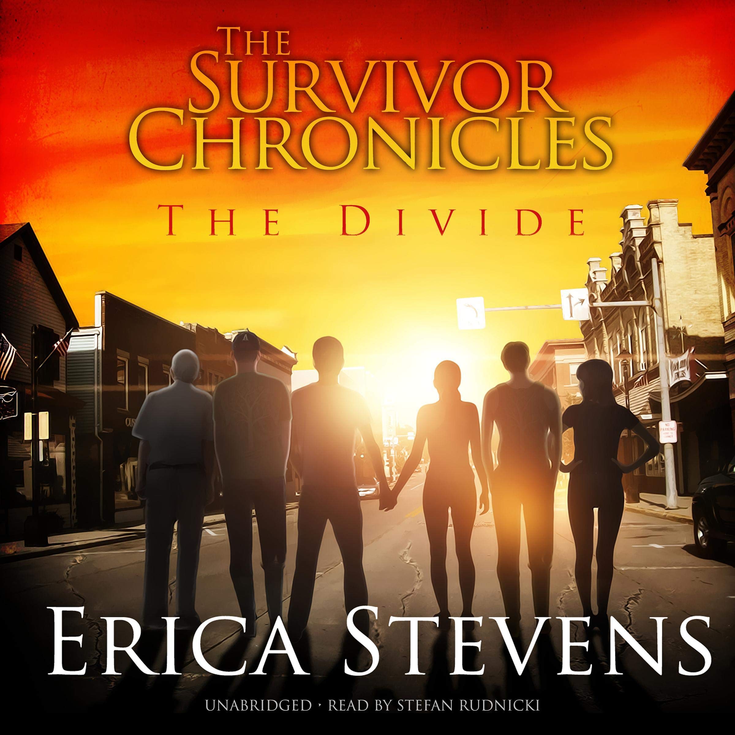 Cover art for The Divide
