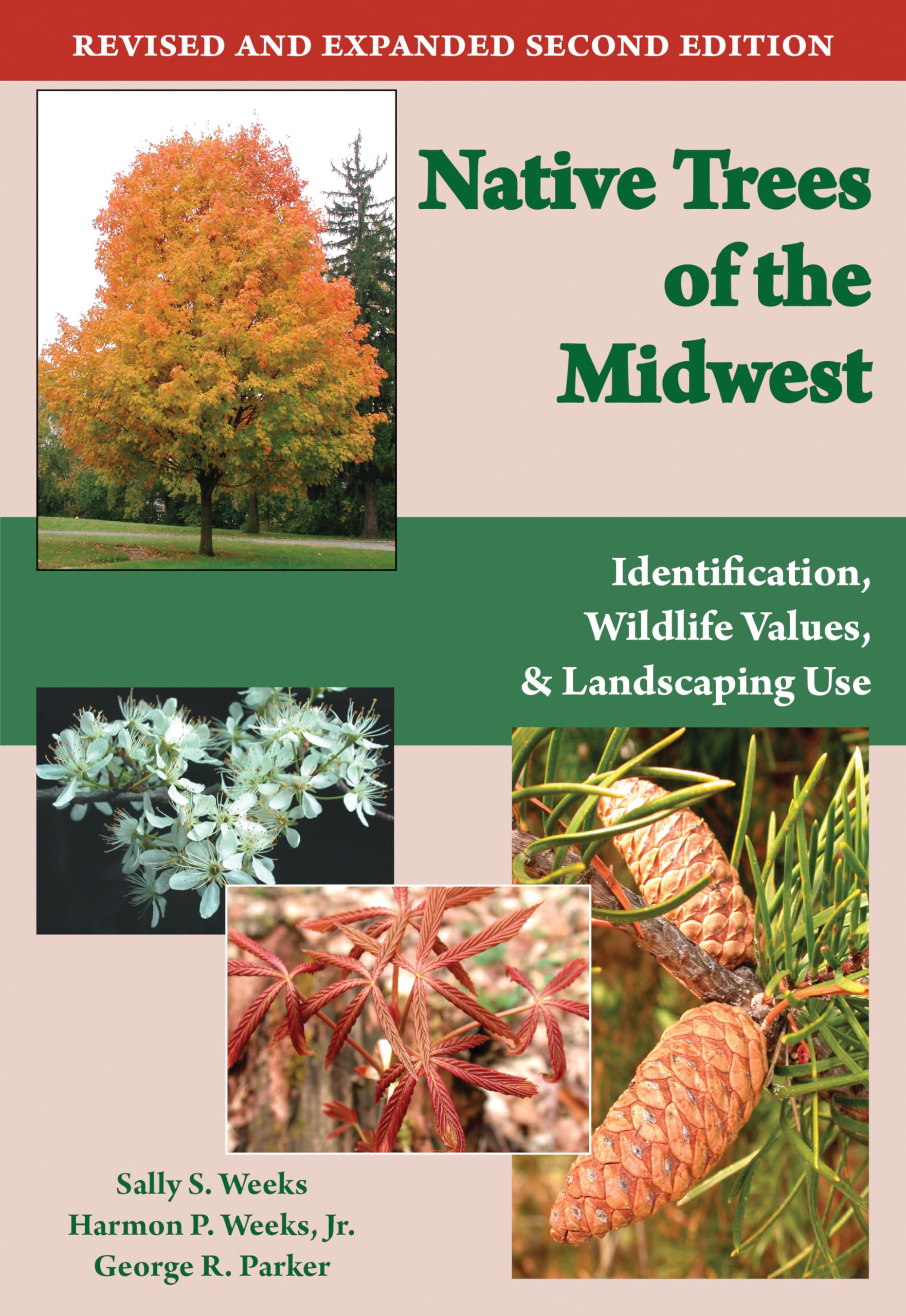 Native Trees of the Midwest: Identification, Wildlife Value, and Landscaping Use