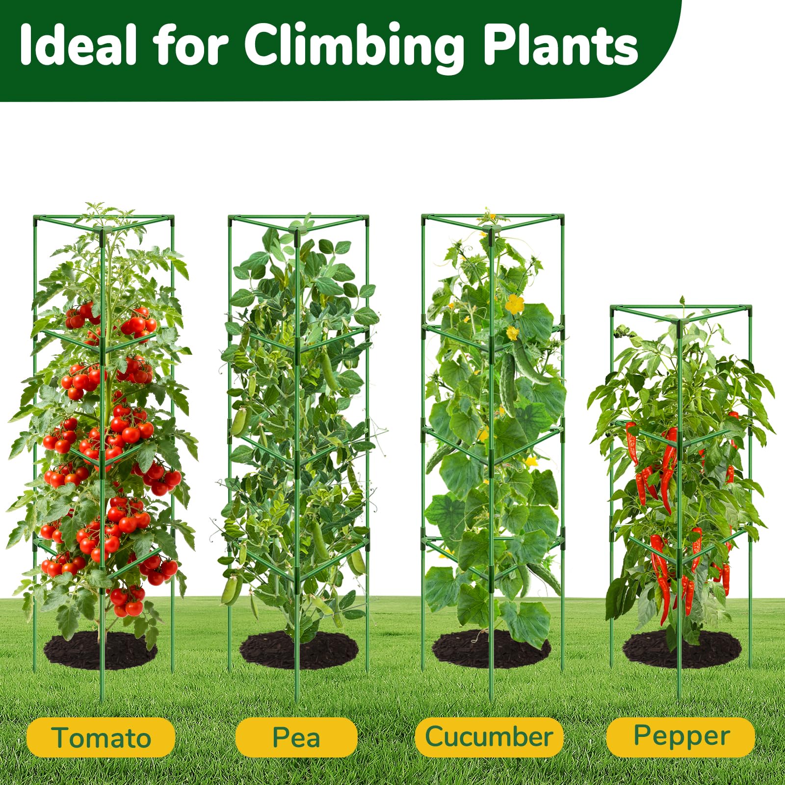 Amazon.com : ZeeDix 4 Pack Heavy Duty Tomato Cages for Garden, 57