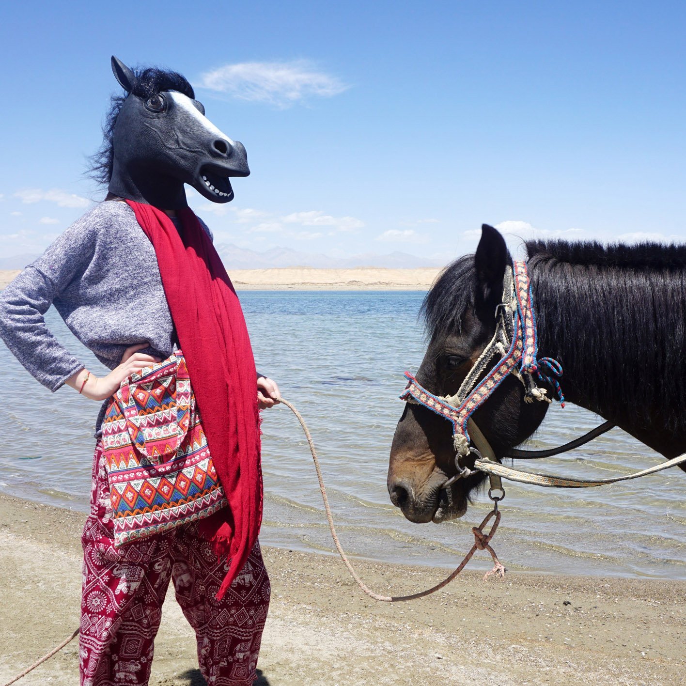 Masque de cheval en latex pour adultes et hommes