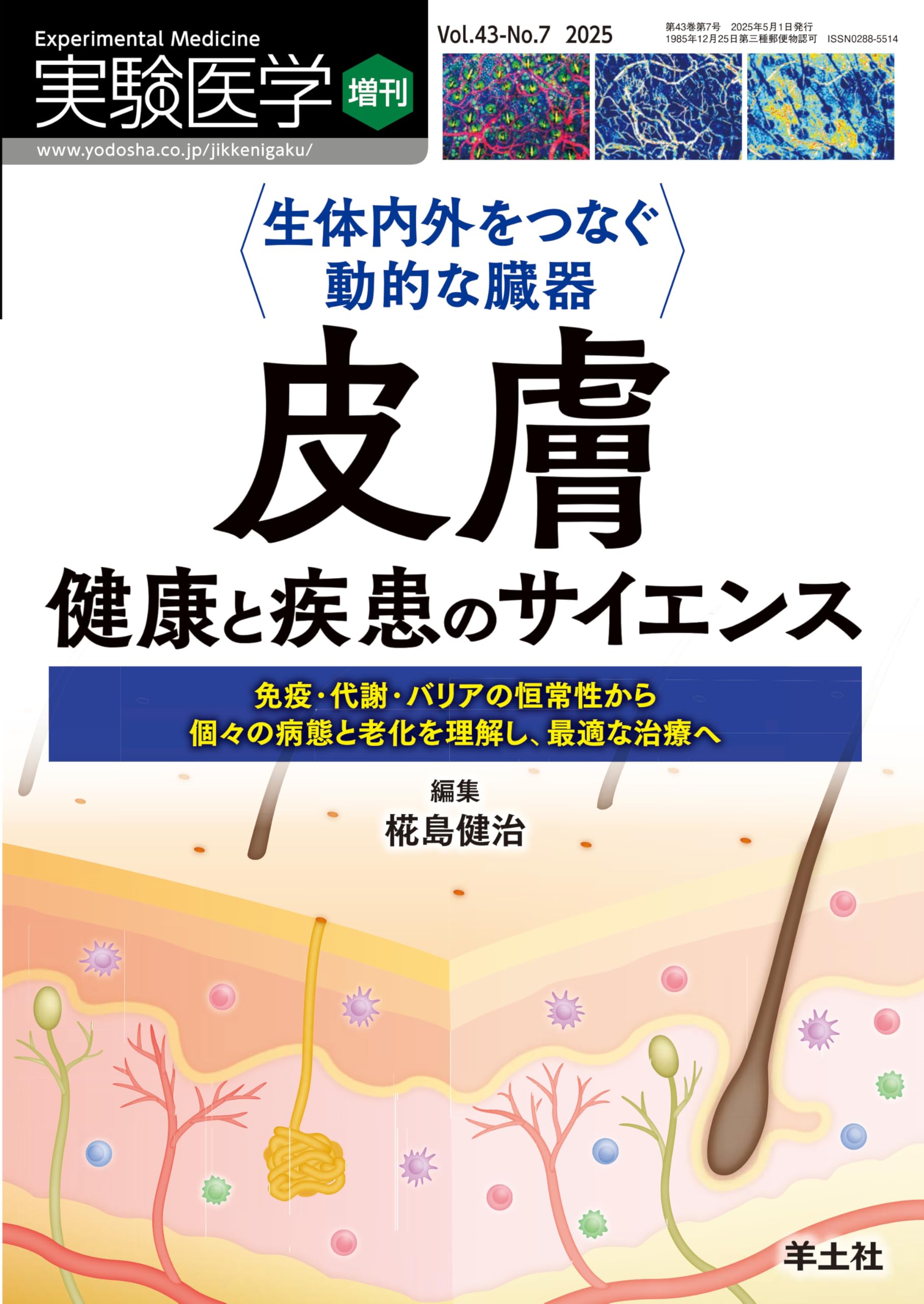 Amazon.co.jp: 椛島 健治: 本、バイオグラフィー、最新アップデート