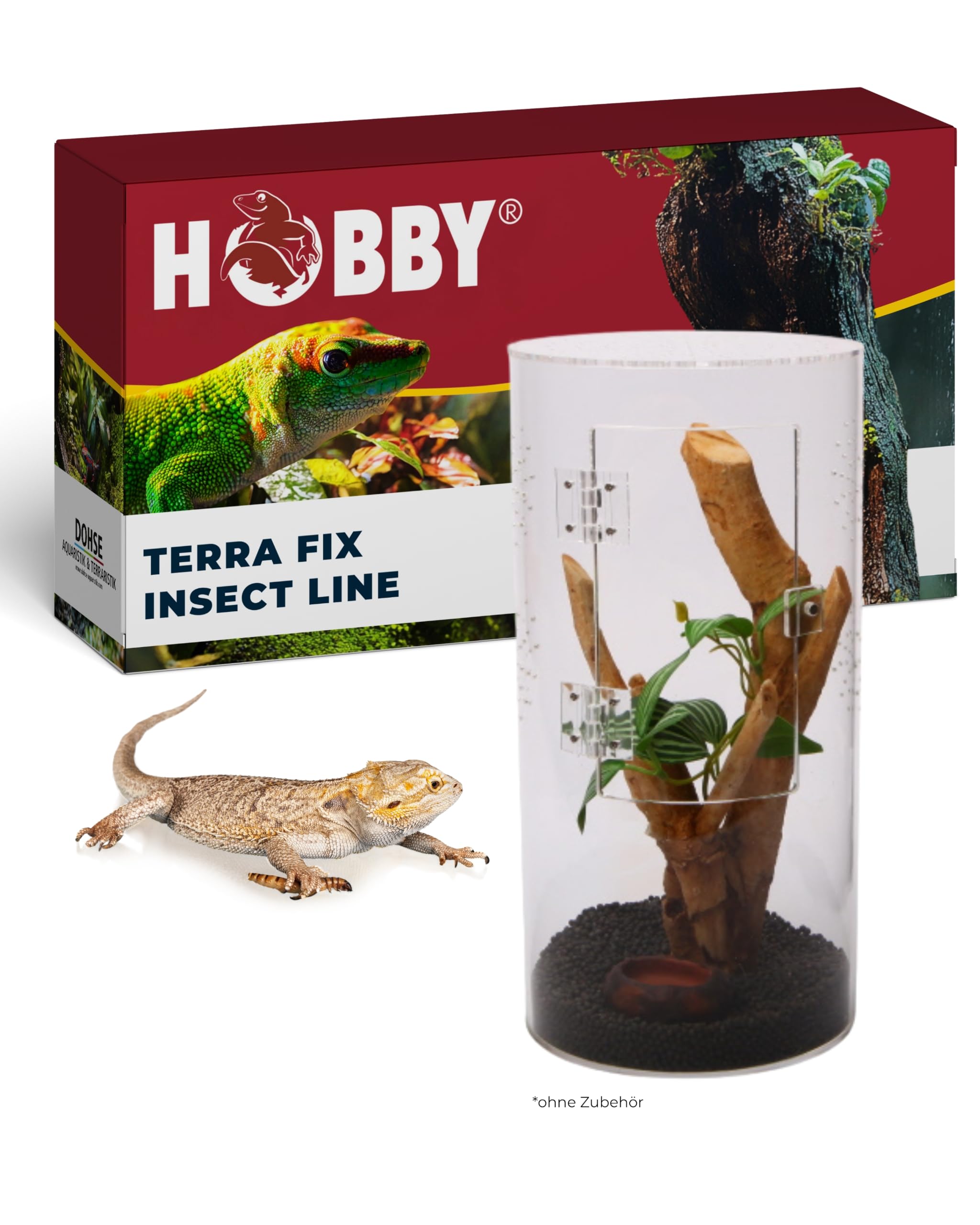 Hobby Terraristik Terra Fix & Easy Insect Line I 15 x 15 x 30 cm I Rundes Acryl-Terrarium I 360° Mini-Terrarium für kleine Insekten I kompaktes Insekten-Habitat inkl. Drainagegrund