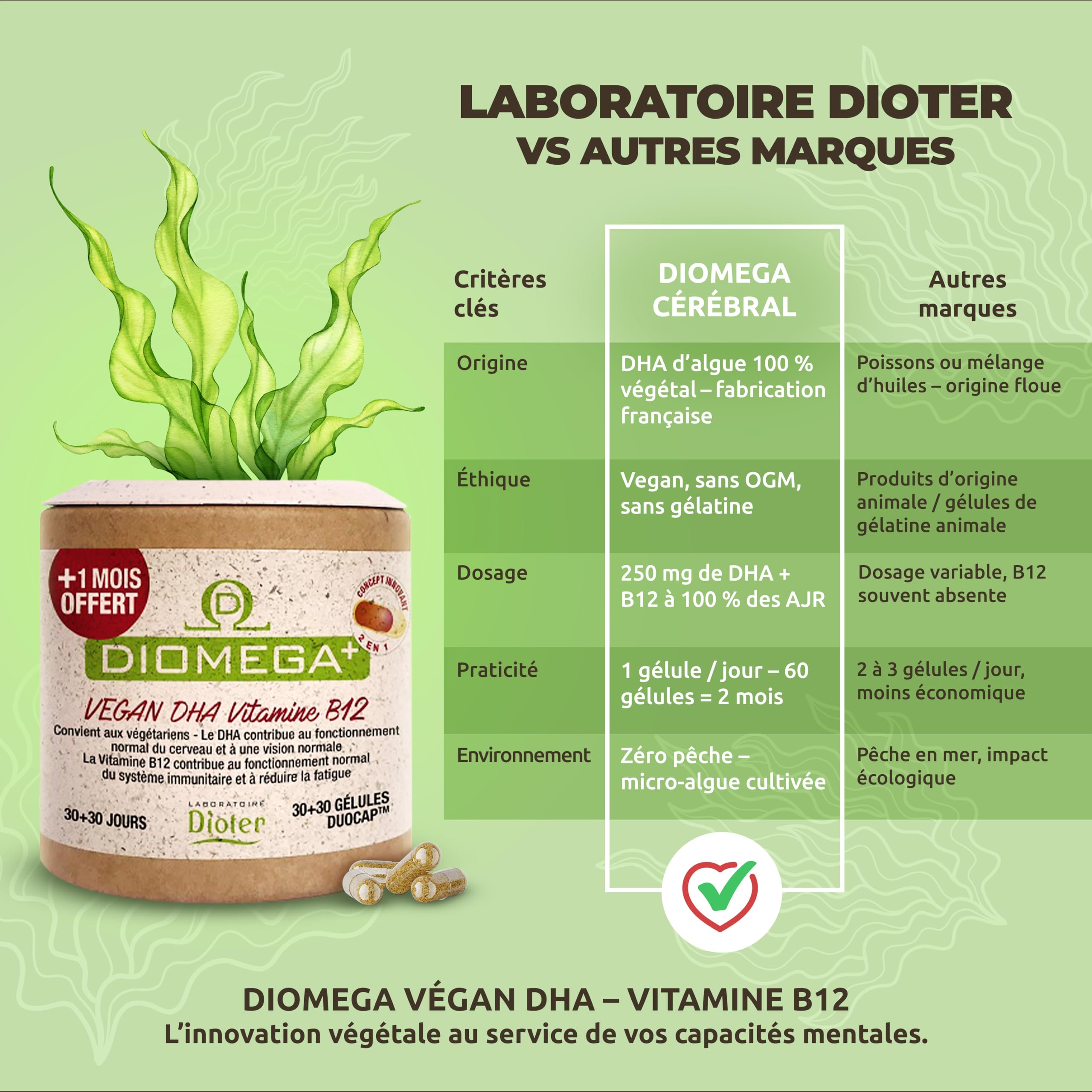 Dioméga Équilibre Cérébral, Oméga 3 végan, DHA d’Algues + Vitamine B12 – Complément Alimentaire végan - Mémoire, Concentration, Vision & Système Nerveux - 60 Gélules