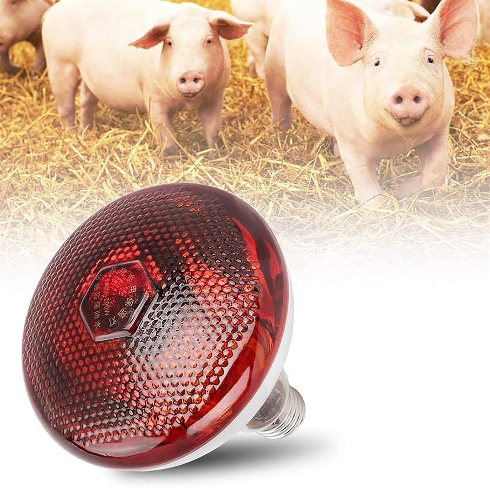 Czerwone żarówki lampy ciepła, żarówka lampy na podczerwień, lampa grzewcza z emiterem ciepła dla gadów na podczerwień, żarówka fokus do gastronomii, żarówka fo