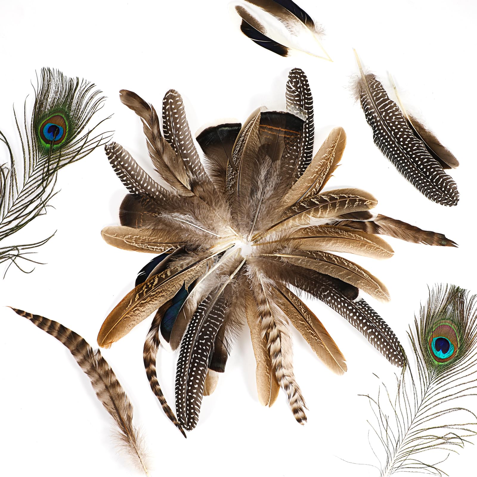 MWOOT Lot de 50 plumes de faisan naturelles assorties pour loisirs créatifs, loisirs créatifs, mariage, décoration d'intérieur, fête MWOOT Lot de 50 plumes de faisan naturelles assorties pour loisirs créatifs, loisirs créatifs, mariage, décoration d'intérieur, fête
