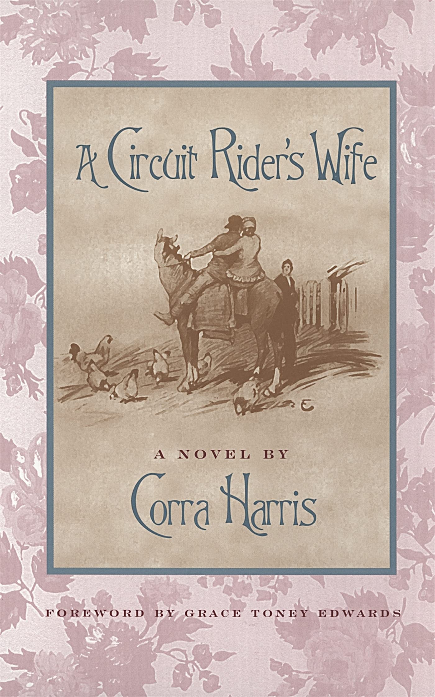 A Circuit Rider's Wife: A Novel: xxix (Brown Thrasher Books)