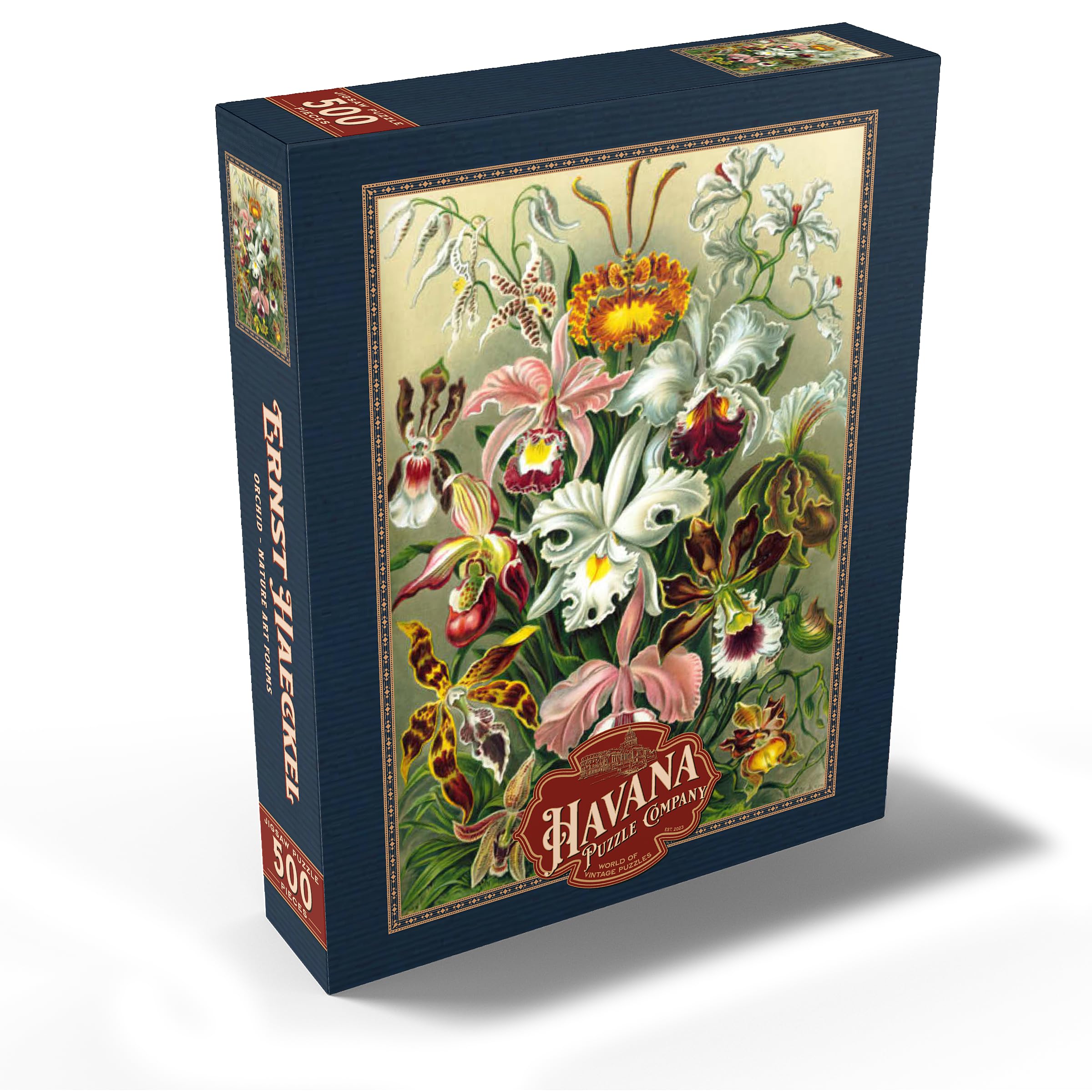Amazon.com: MyPuzzle Orchid - Nature Art Forms, Vintage Art Poster