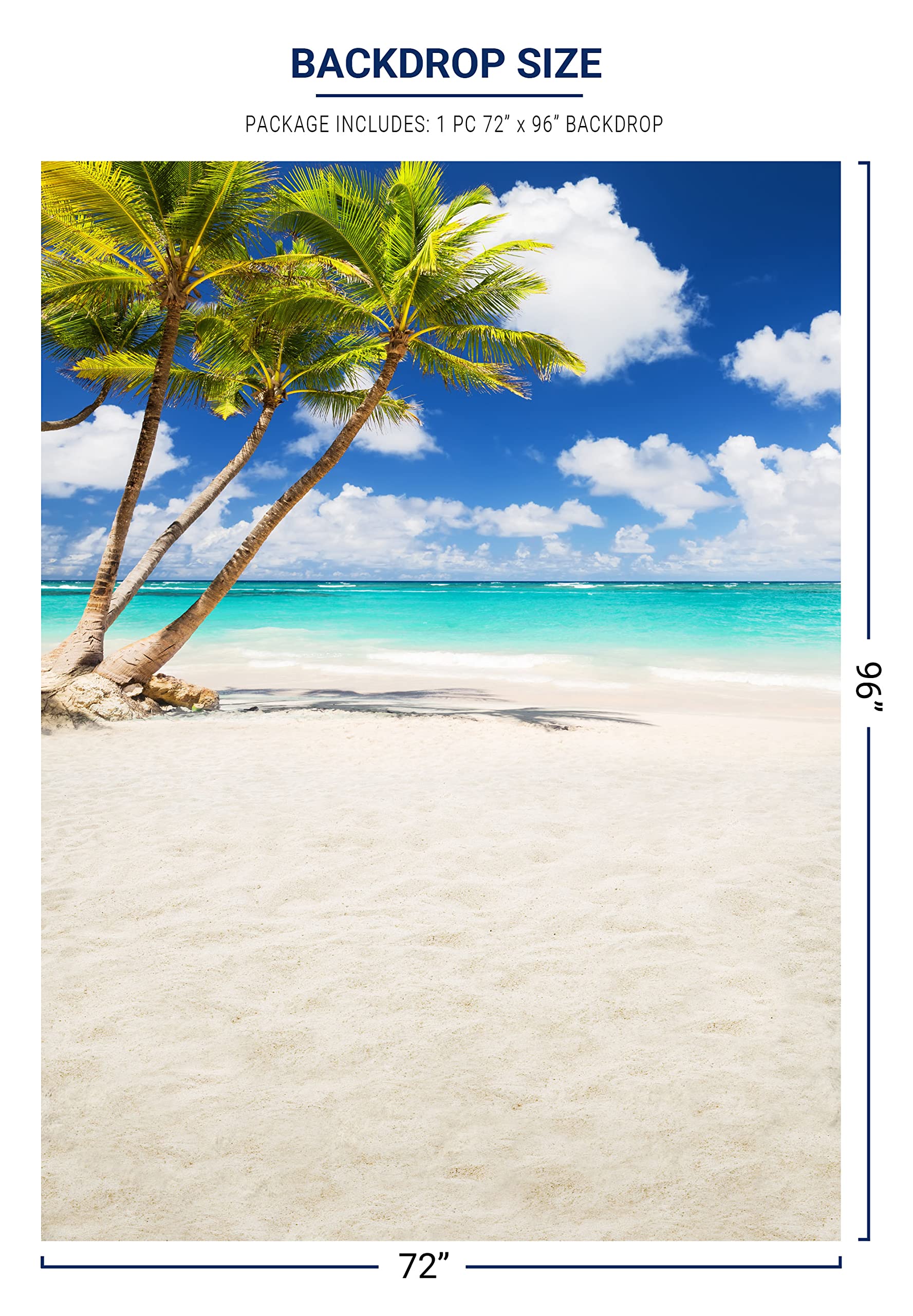 Amazon.co.jp: Allenjoy トロピカル シーサイド ビーチ 背景 夏 ハワイ
