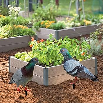 アクリル画 花と白い鳩のモチーフ アクリル画 花と白い鳩のモチーフ 鳩 - アートの人気通販