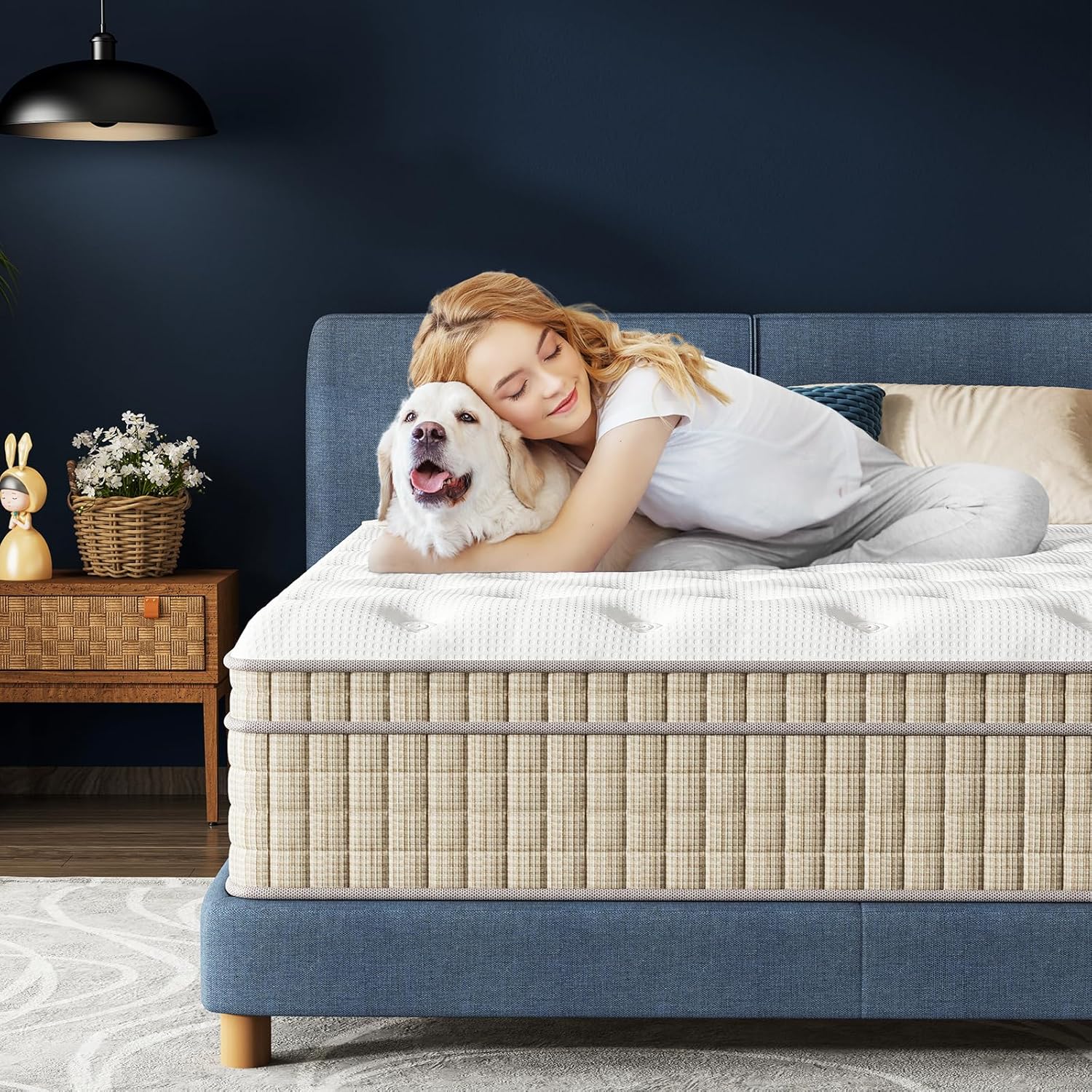 Queen Mattress - Luxury 14 Inch Queen Bed Mattress in a Box, with Pillow Top & Upgrade Pocket Spring Design for Strong Back Support & Pain Relief, Non-Toxic & Odor