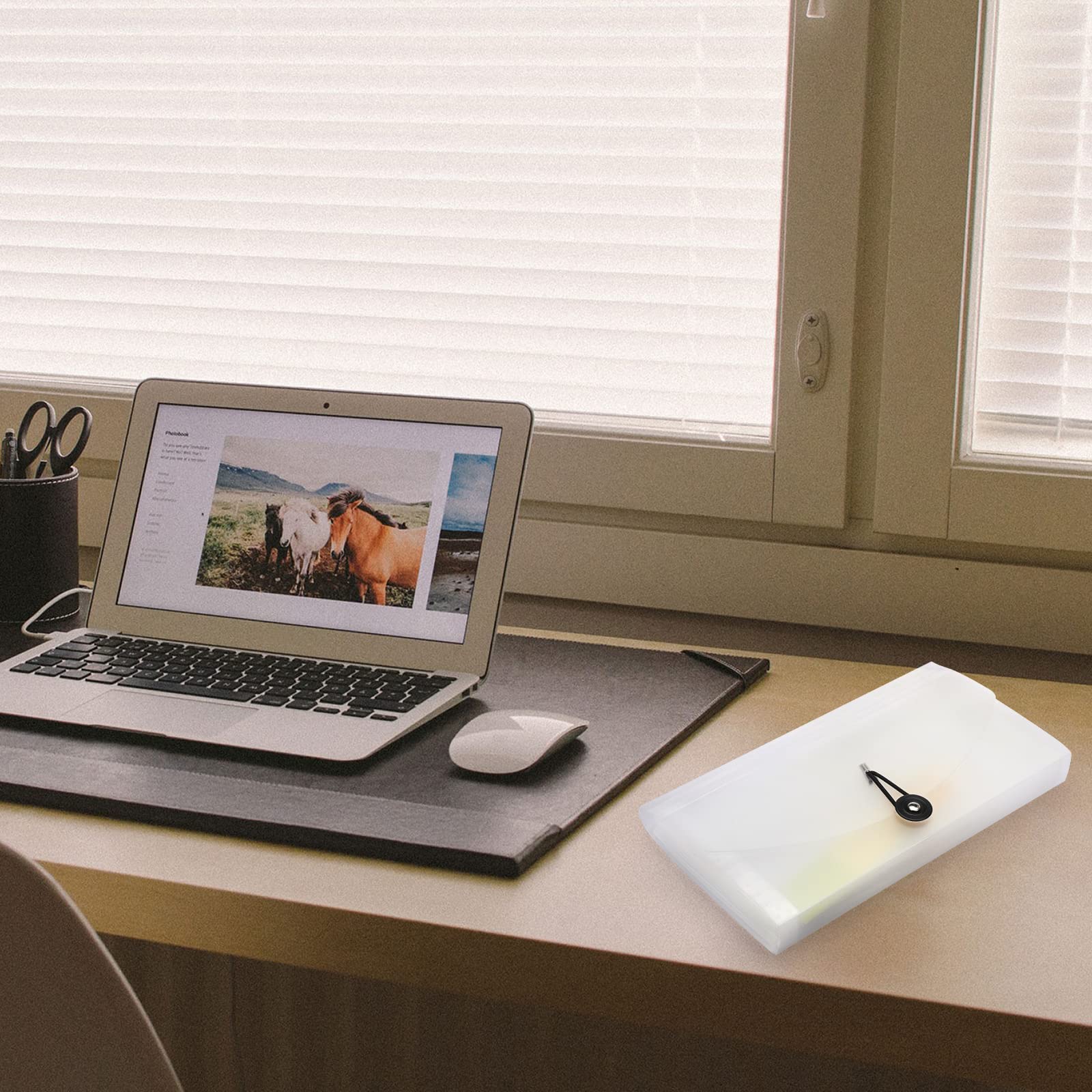 BTSKY Expanding Accordion File 13 Pockets Small Card Ticket Holder Storage Folder Check Bill Plastic Wallet Case (Coffee Translucent