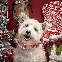 Vista 275 de Unique Style Paws - Collar rosa con hebilla de metal, duradero y lindo para perros pequeños a grandes