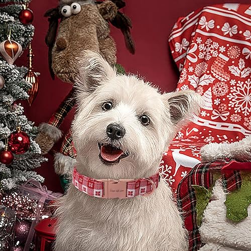 Miniatura 10 de Unique style paws Collar de perro con hebilla de metal, regalo para niños pequeños, medianos y grandes