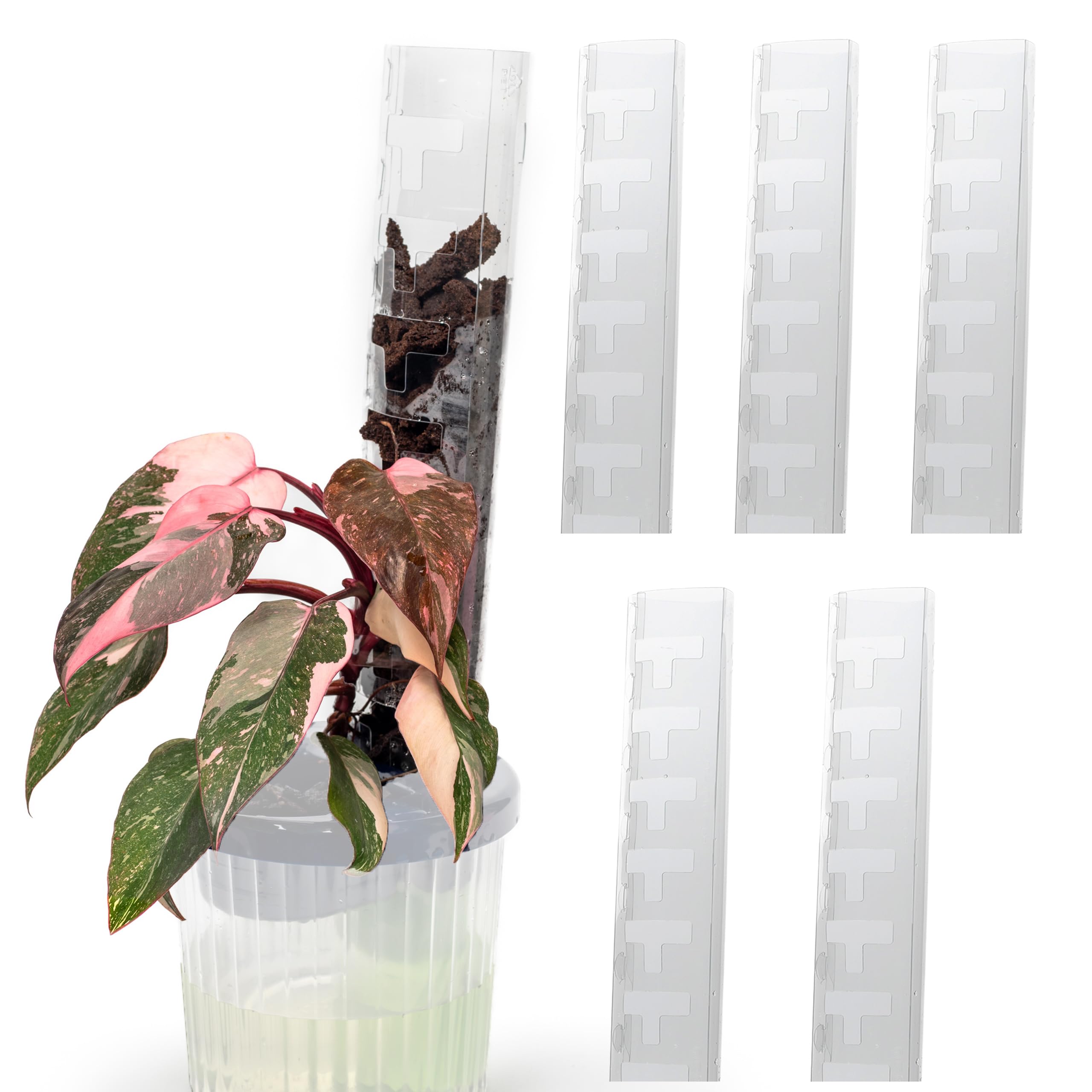 Amazon | THICCLY V3 GrowPole Medium 5本セット - 前面開閉式