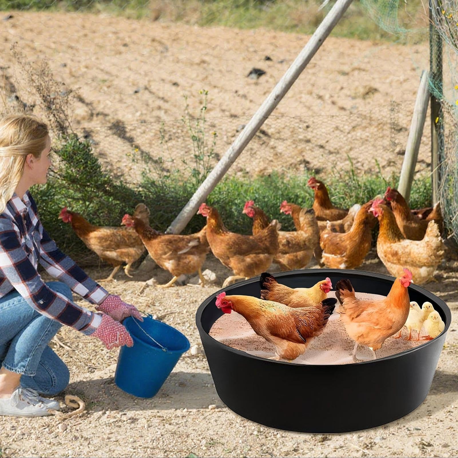 Bagno di Polvere per Galline Pollaio Regolabile 63Cm Pollame