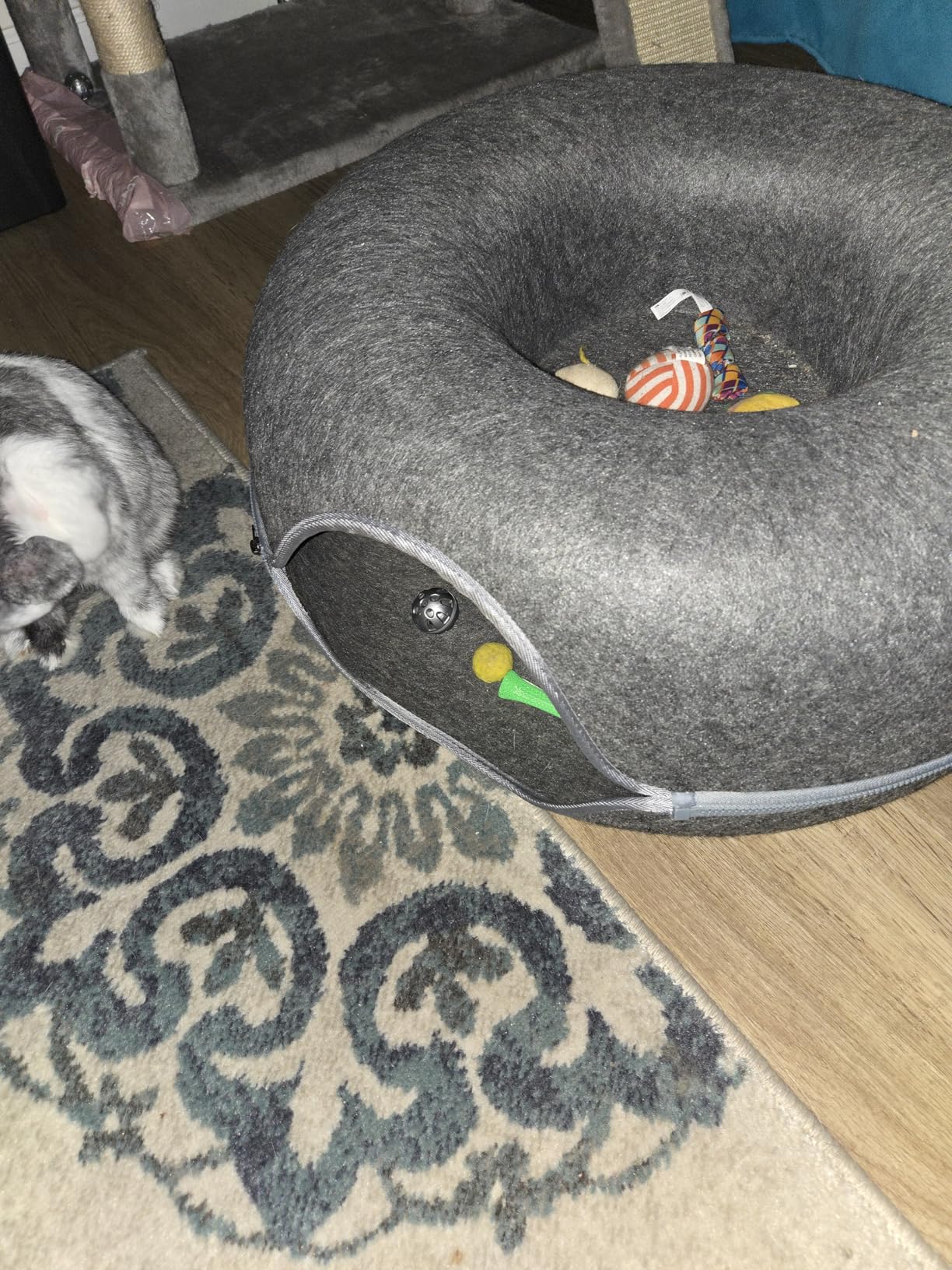 Large Cat Tunnel Bed for Indoor Cats with 3 Toys, Scratch Resistant Donut Cat Bed, Up to 30 Lbs (L 24x24x11, Dark Grey) photo review