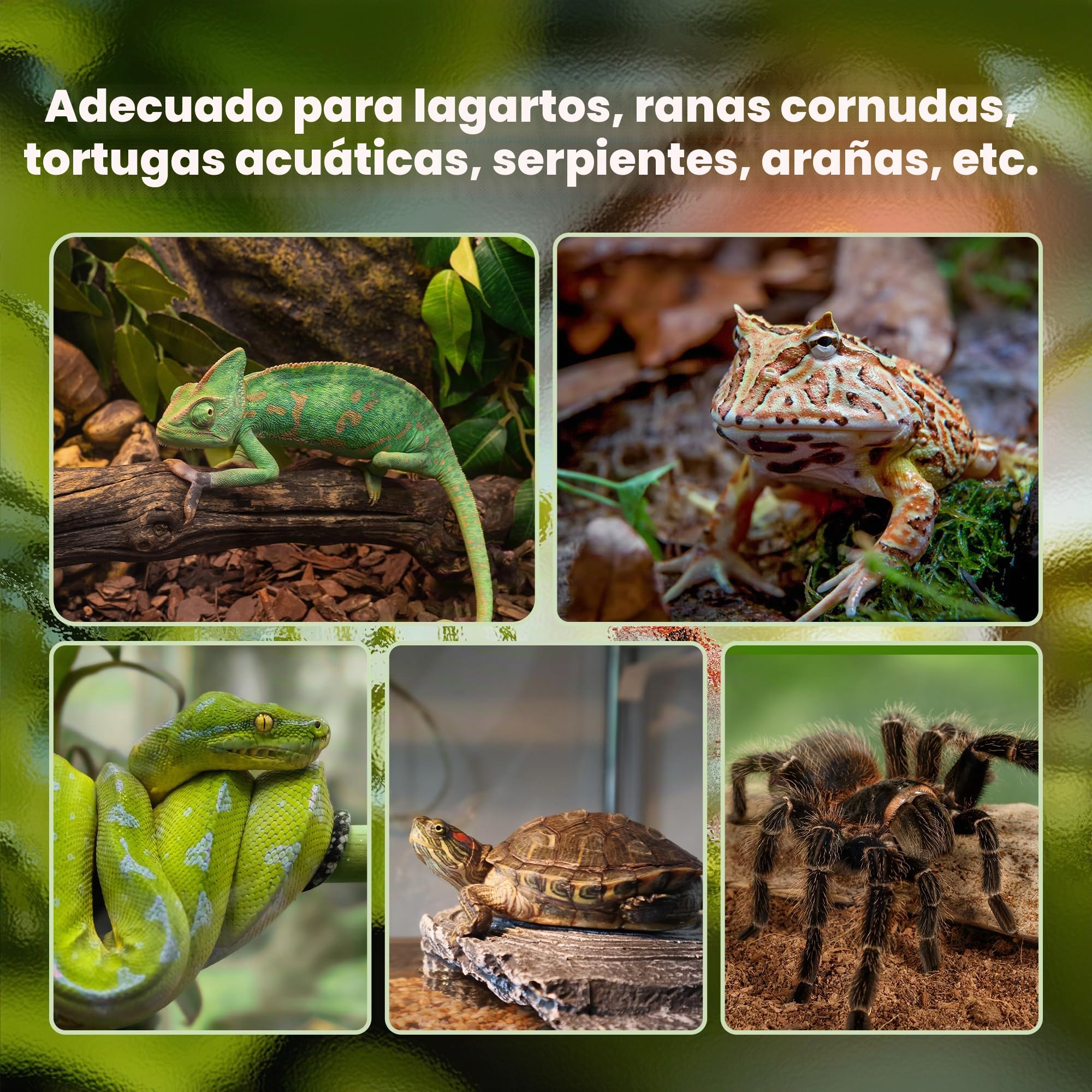 PawHut - Caja de reptiles (50 x 30 x 25 cm), color negro