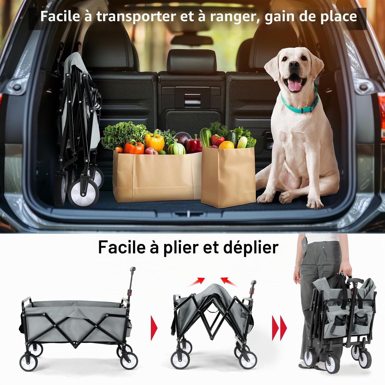 Chariot de Plage Pliable Poignée Réglable Chariot de Jardin Chariots de Transport pour Transport, Plage, Camping, Courses, Chariot de Jardinage Chariot à roulettes avec Jusqu’à 60KG (Gris)