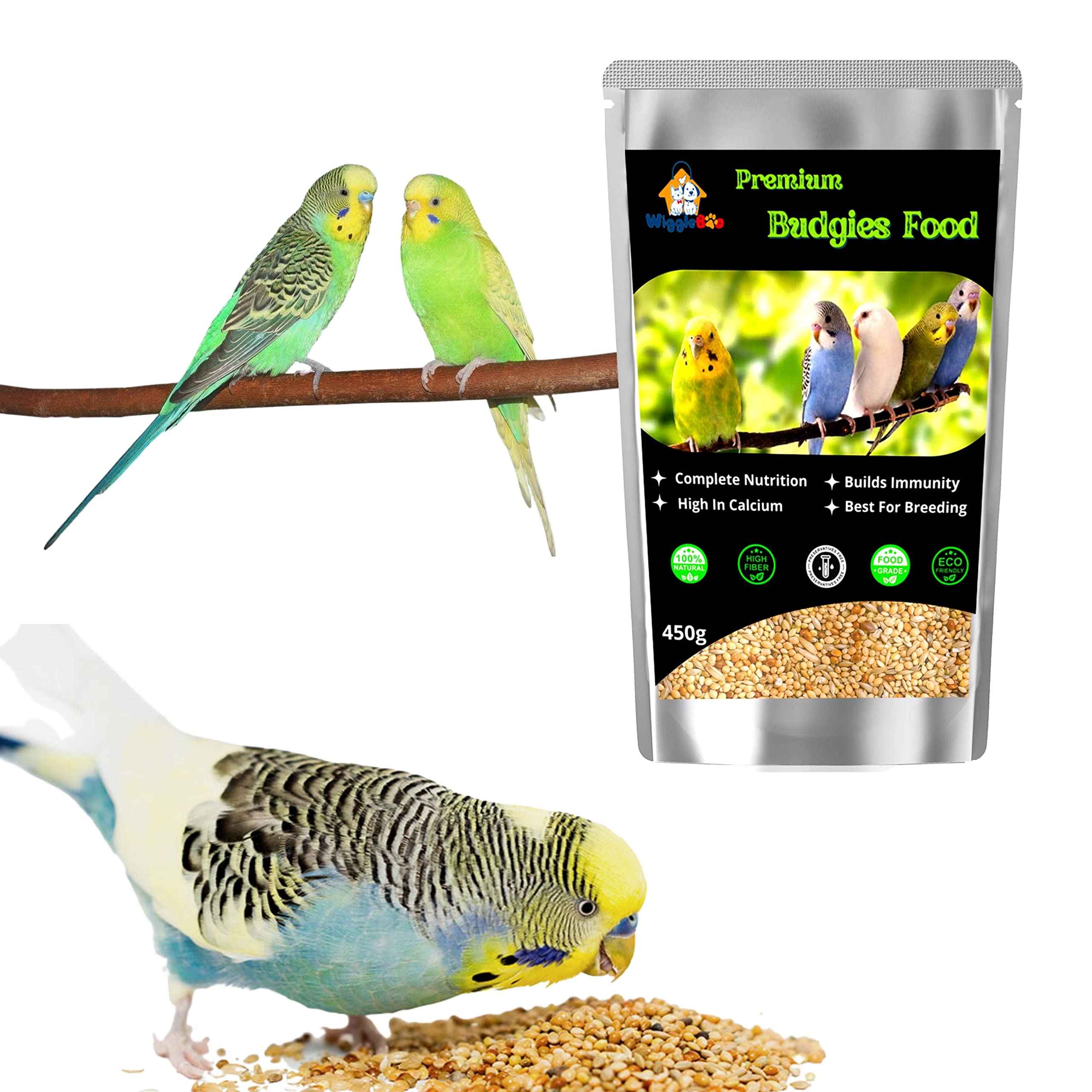 WiggleBoo Budgies Premium Natural Food - Pack of 450 Grams Imported Mix Seeds, Calcium Fortified, Multi Micro-Nutrients, High Immune Syastem -Suitable for Budgies, Love Birds, Finches,Canaries (B0BT1H3TRM) Amazon Price History, Amazon Price Tracker