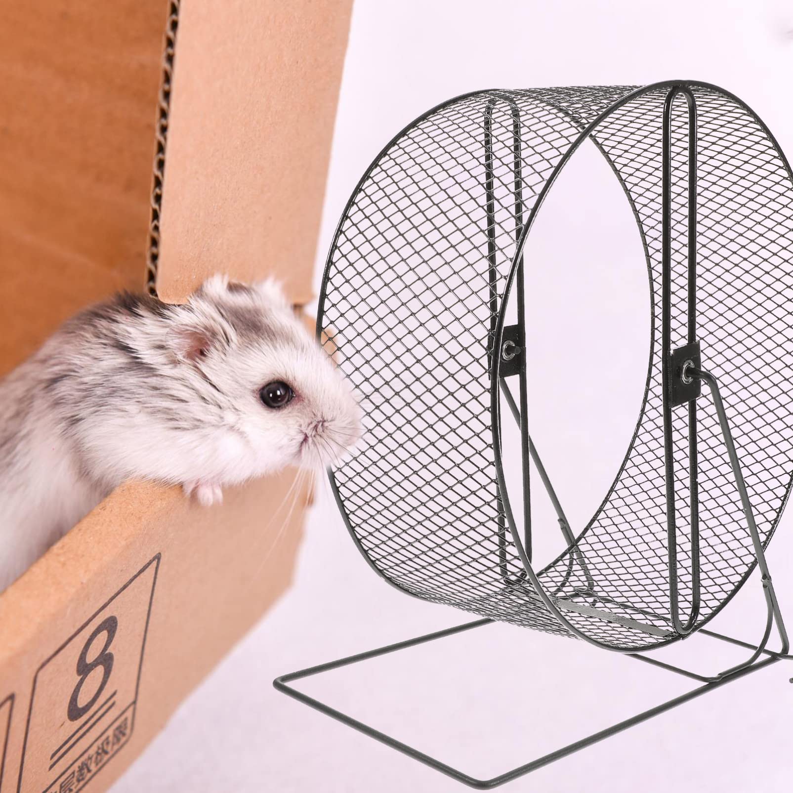 Generic Roue Dexercice Silencieuse Roue d'exercice pour Hamster - De Fer pour Hamster - De Course pour Hamsters Hérissons Écureuils Gerbilles Autres Petits - Noir Taille M De Hamster 28cm