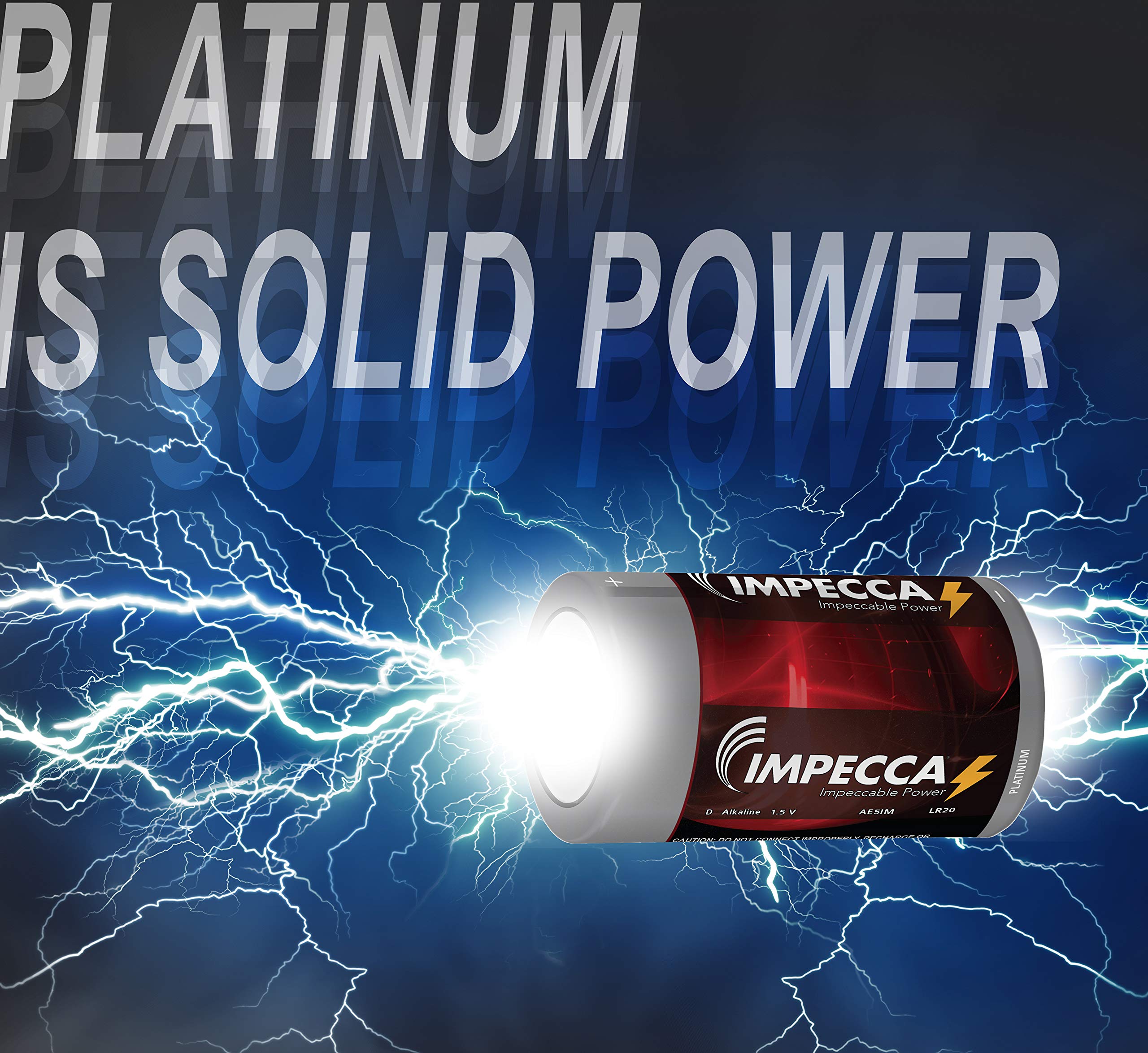Pilas alcalinas AA-20 AAA-8 C-5 D-5 9 Volt-2 Maximum Power 10-Year Shelf Life Long Lasting Batteries Combo Pack with Battery Storage Box Organizer, 39 Batteries Variety Pack
