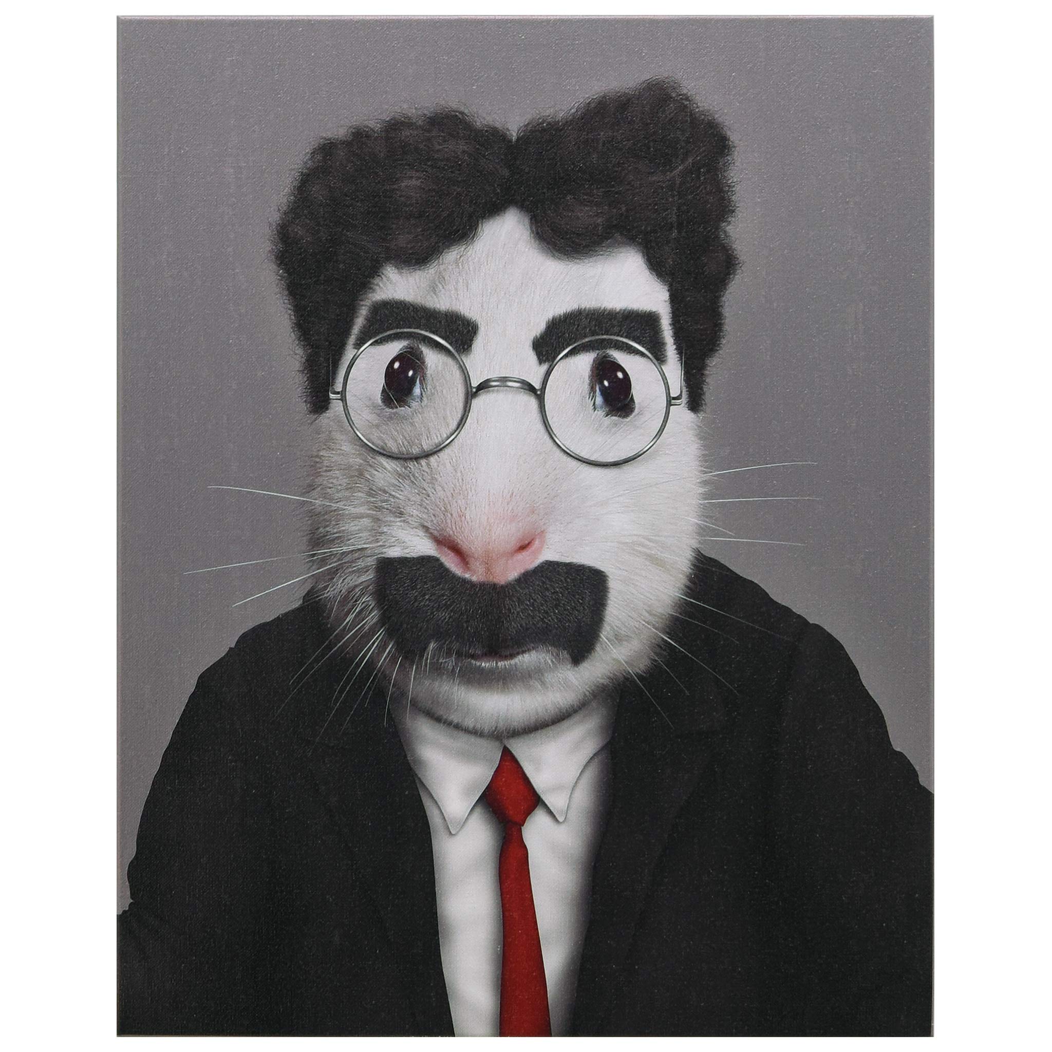 Empire Art Direct Pets Rock Vaudeville Graphic Wrapped Animal Canvas Wall Art, 20" x 16" x 2", Ready to Hang