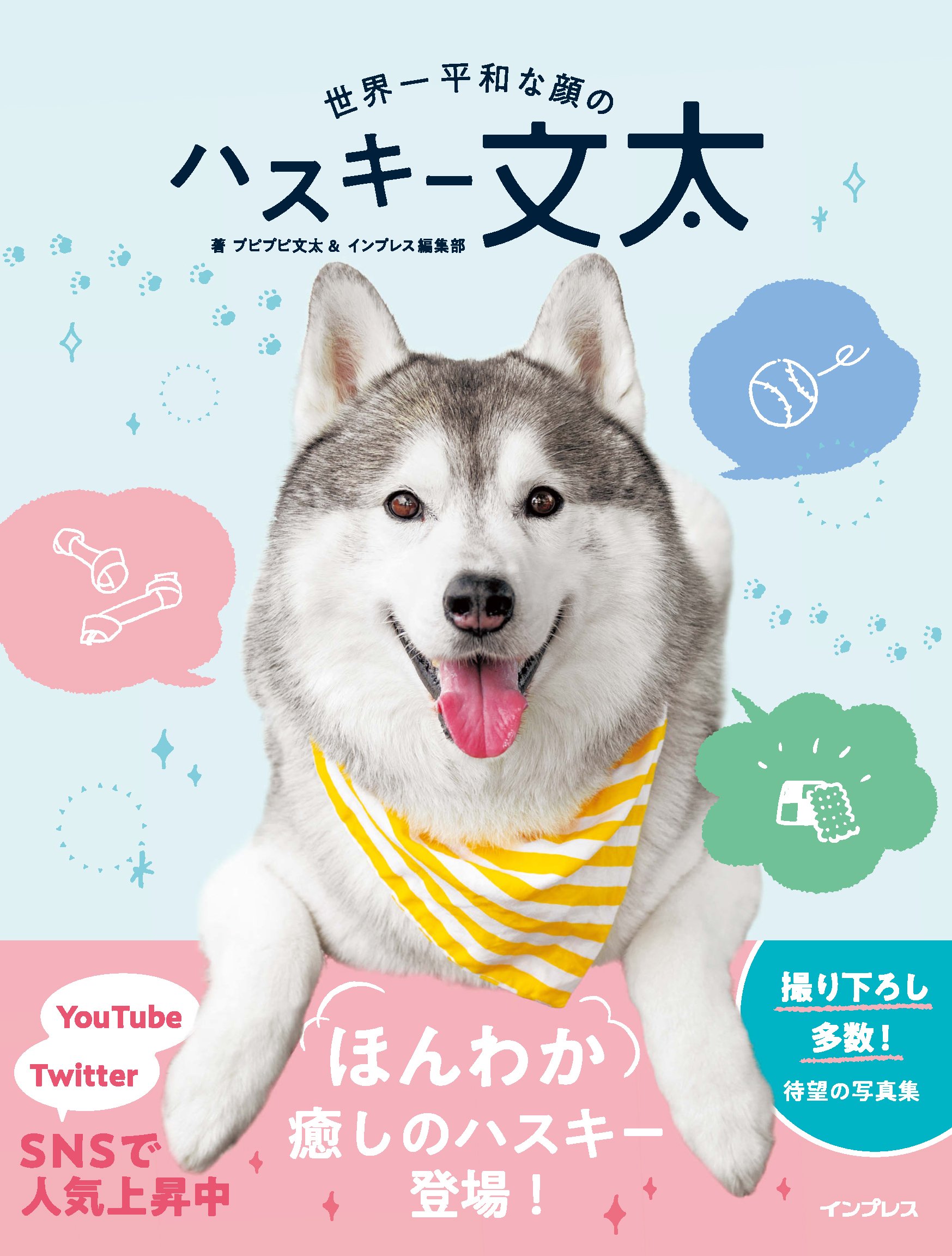 動画付)世界一平和な顔のハスキー 文太 | プピプピ文太, インプレス