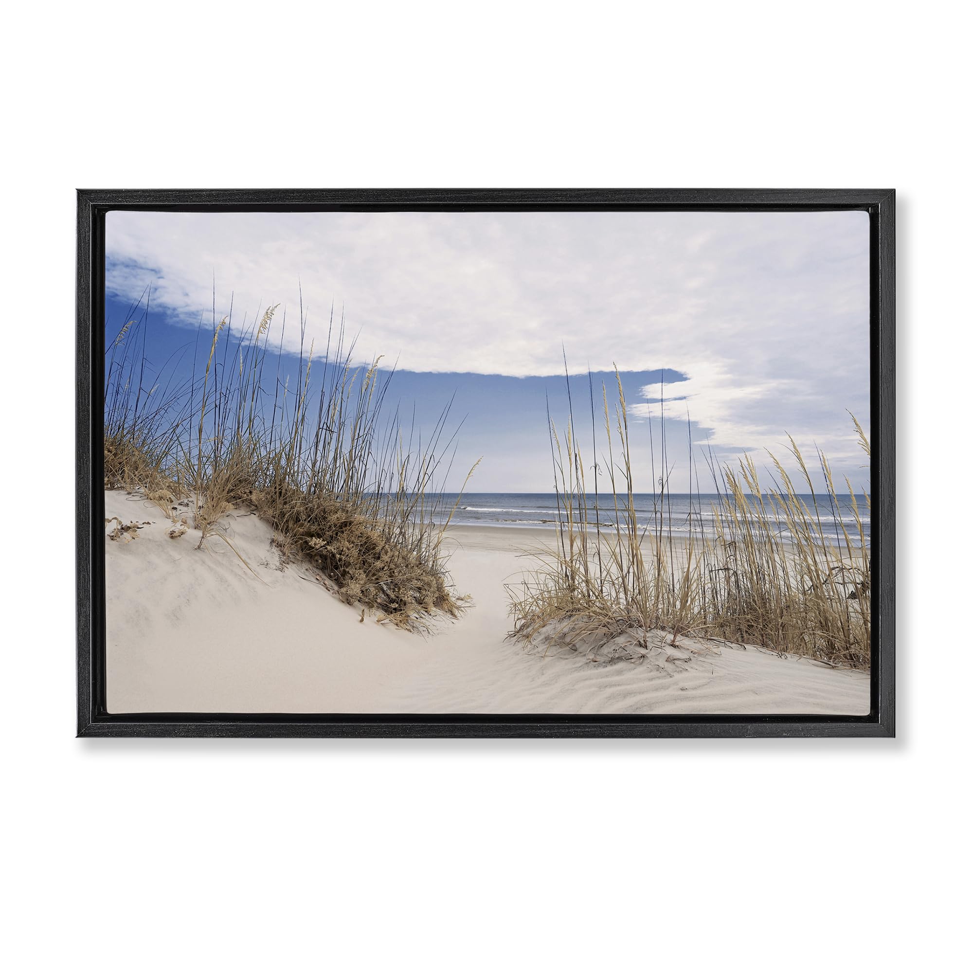 Stupell Industries Sea Oats Sandy Dunes 'Sea Oats Along Sandy Dunes', Floating Frame Canvas Art, Black, 31 X 21 Inches, Easy To Hang And Sturdy, Made In Usa, By Natalie Carpentieri