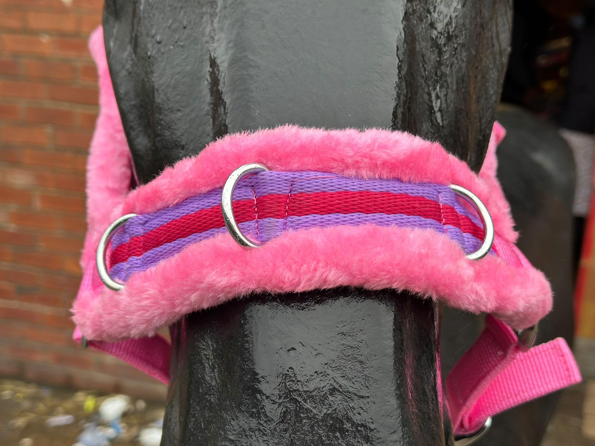 Horse Training Cavesson with Adjustable Noseband and Fake Fur Lining (Pink, Full) - Image 2