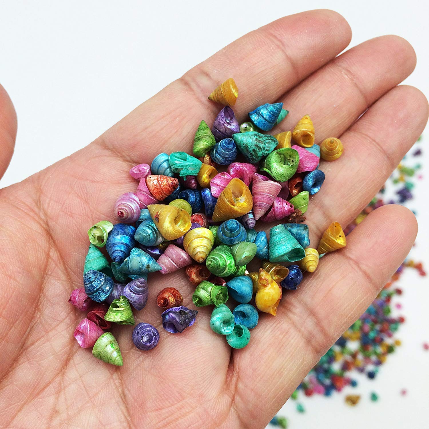 PEPPERLONELY Dyed Assorted Colors Trochus Tiny Sea Shells, 4 OZ Apprx.1300+ PC Shells, 1/4 Inch