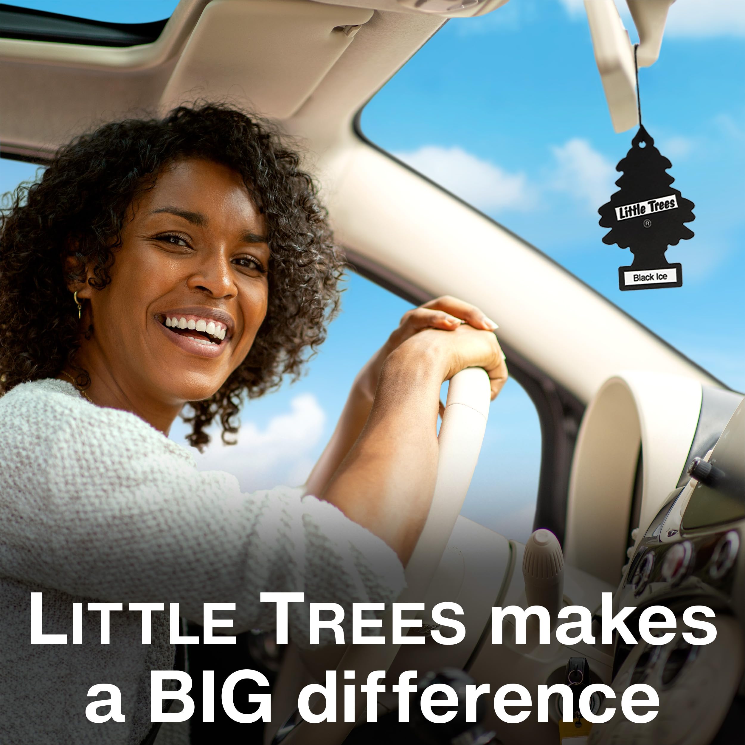 LITTLE TREES Lufterfrischer Auto Lufterfrischer Hängender Baum bietet lang anhaltenden Duft für Auto oder Zuhause True North 24 Lufterfrischer