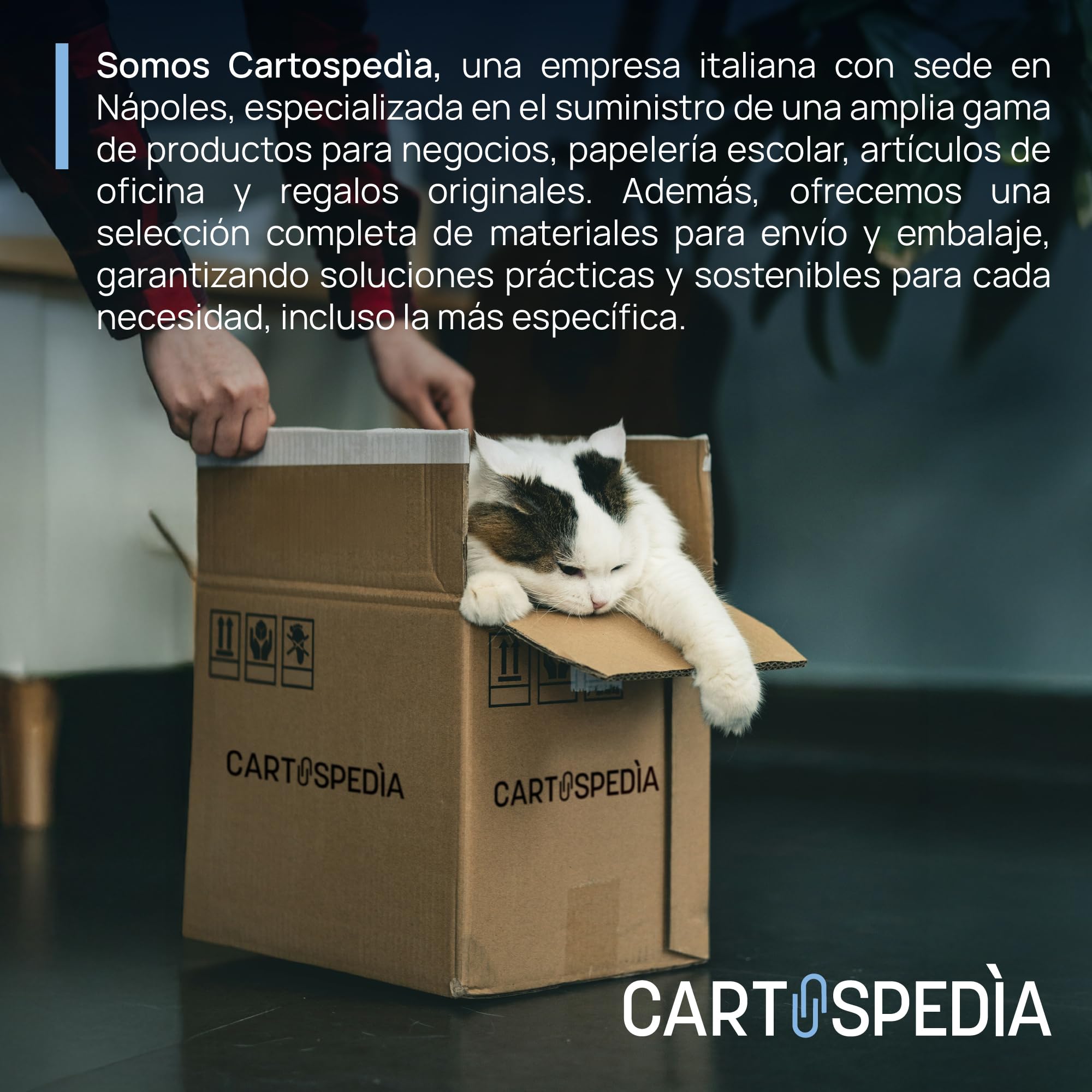 100 Rollos Térmicos TPV 57x36 mm | 20 m | Papel Térmico para TPV, Caja Registradora, Impresoras de Tickets – Compatible con Nexi, SumUp, Ingenico, Verifone, Olivetti, Smart POS