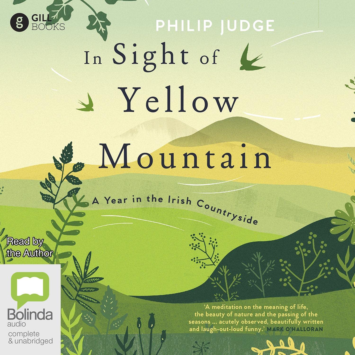 In Sight of Yellow Mountain