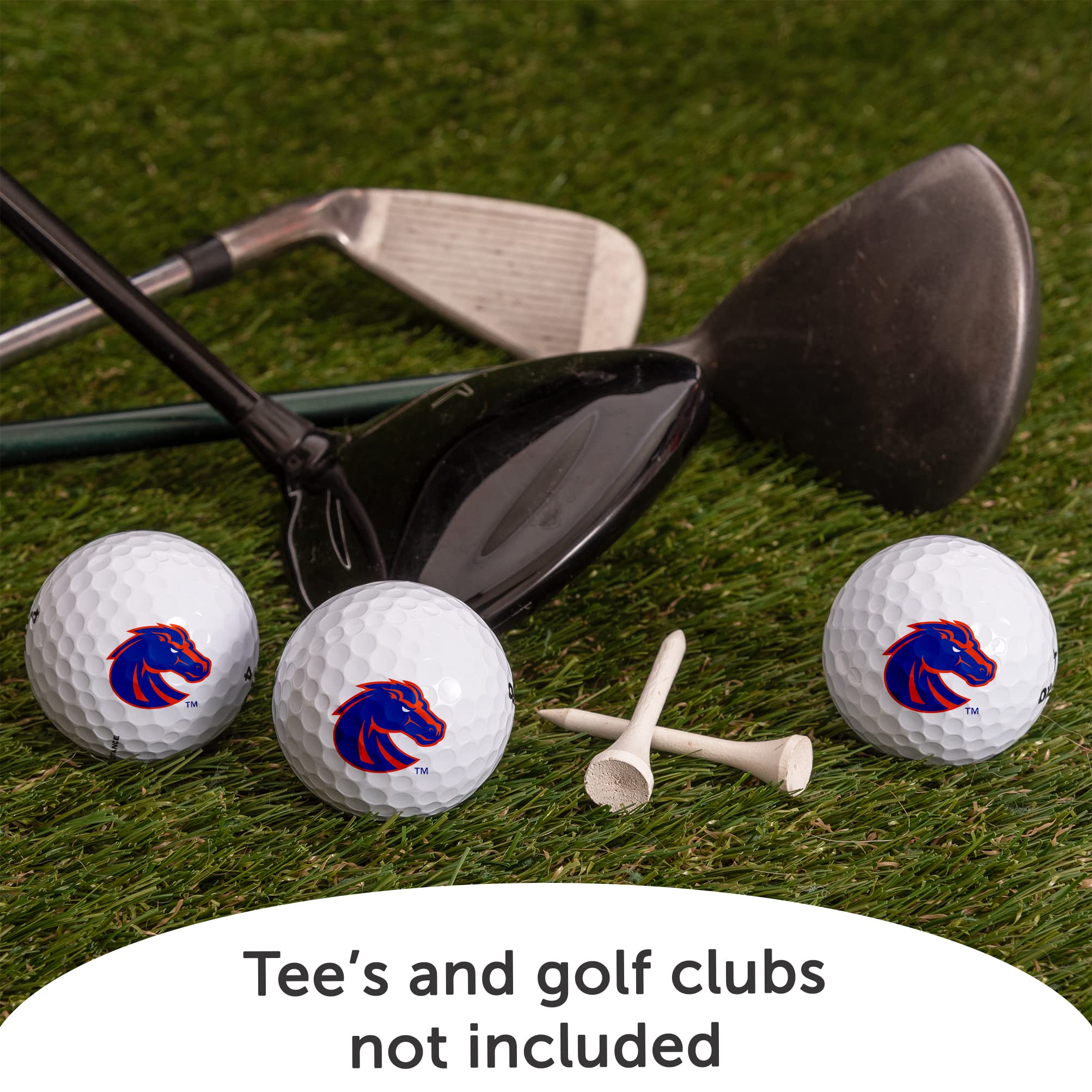 Desert Cactus Boise State University Golf Balls 3 Pack Full Color Golf Ball (Design A)