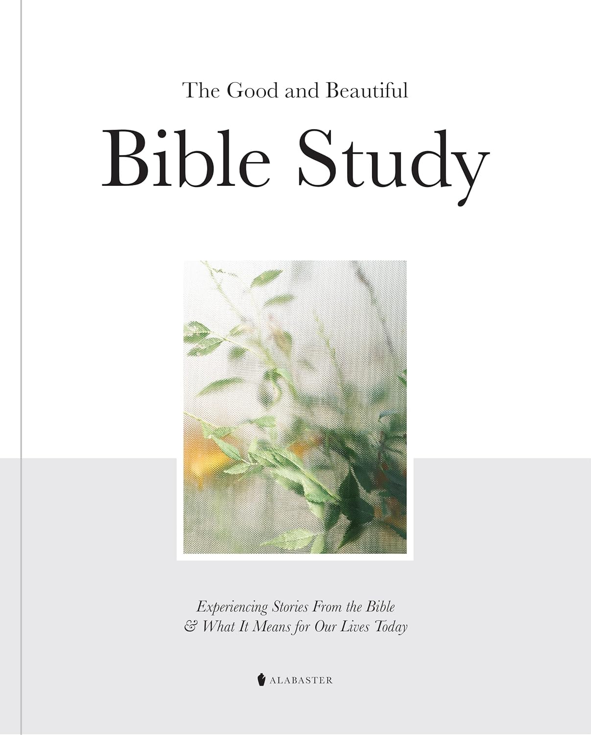 The Good and Beautiful Bible Study Vol 1 (SC) The Good and Beautiful Bible Study Vol 1 (SC)