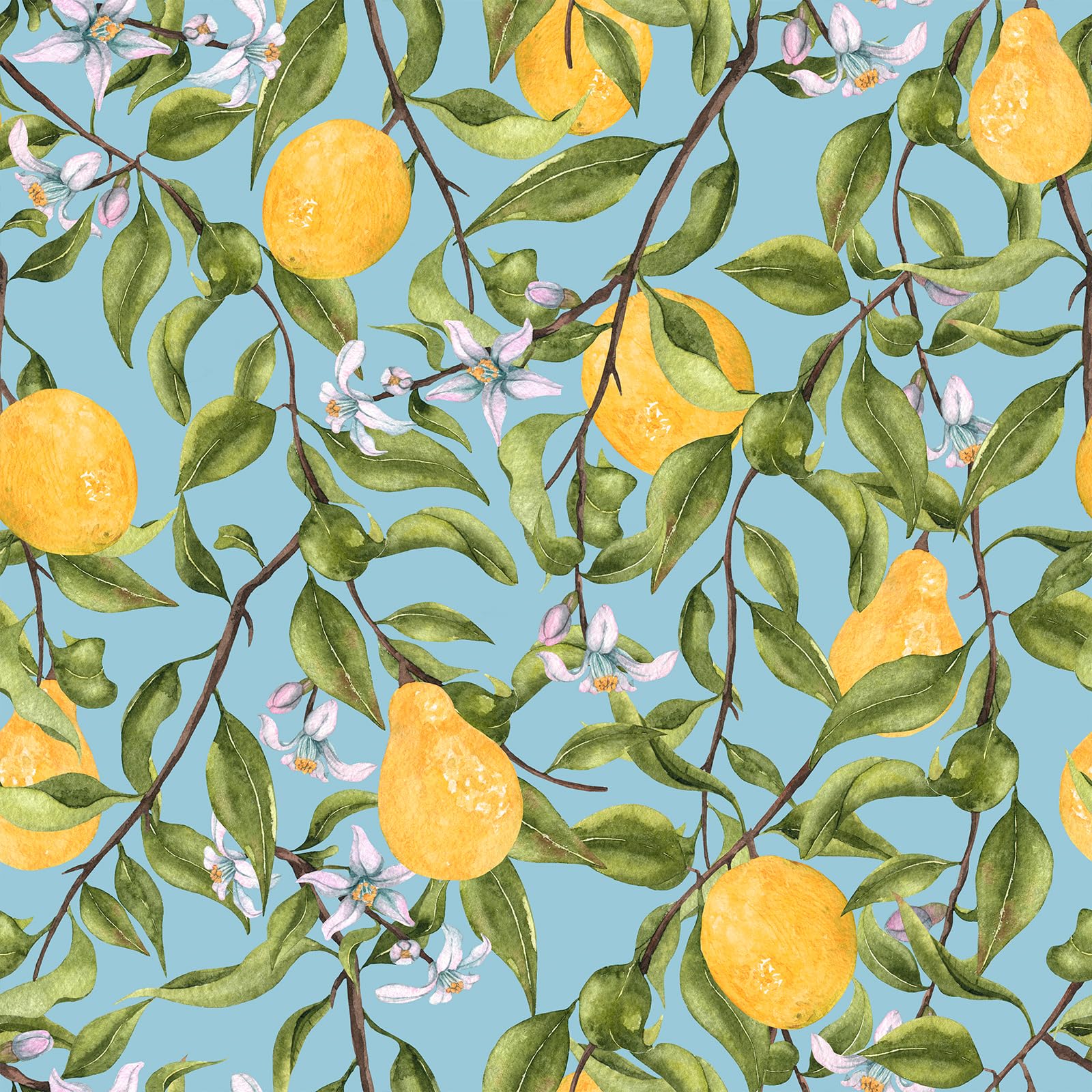 VEELIKE Watercolor Blue Lemon Wallpaper Stick and Peel Vintage Citrus Fruit Wallpaper for Kitchen Powder Room 17.7''x118'' Removable Self Adhesive