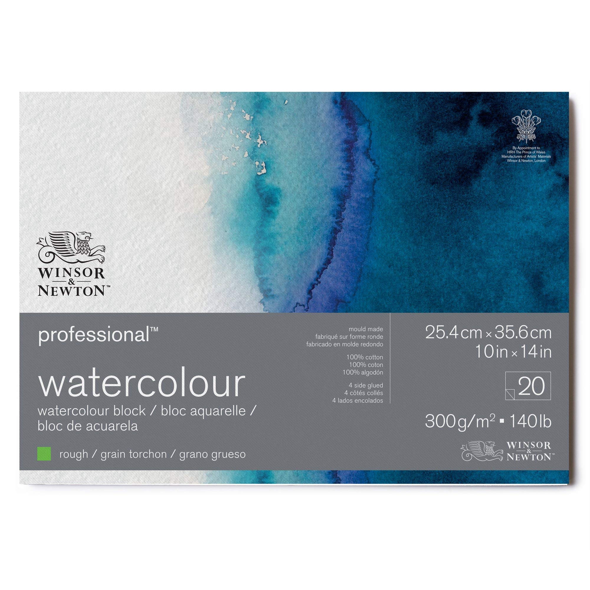 Winsor & Newton 6664011 Professional Aquarellpapier im Block - 20 Blatt 25,4 x 35,6cm, 300g/m², Grobkorn, helles natürliches weißes Papier in archivierbarer Qualität, gilbbeständig